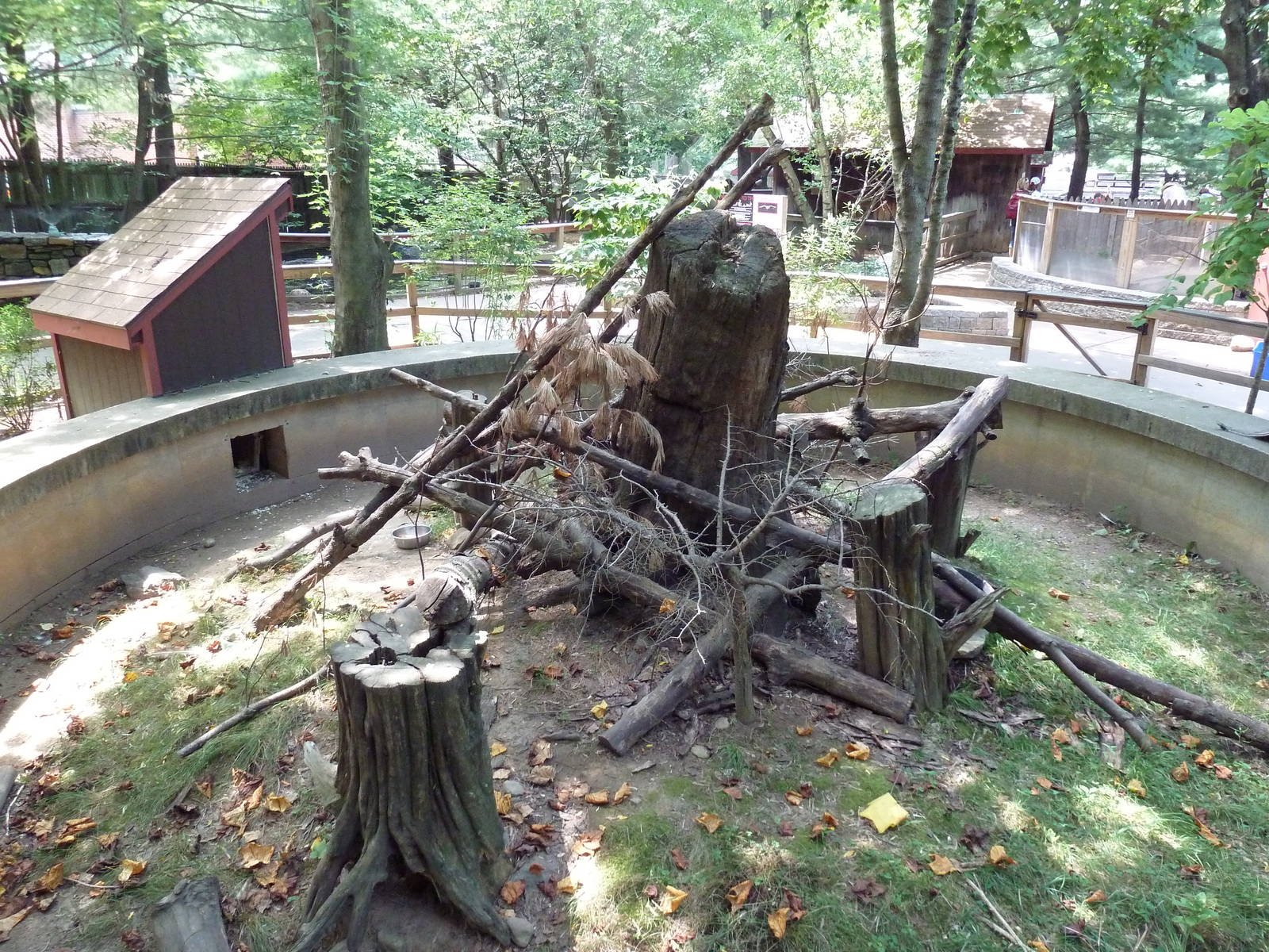 North American Porcupine Exhibit