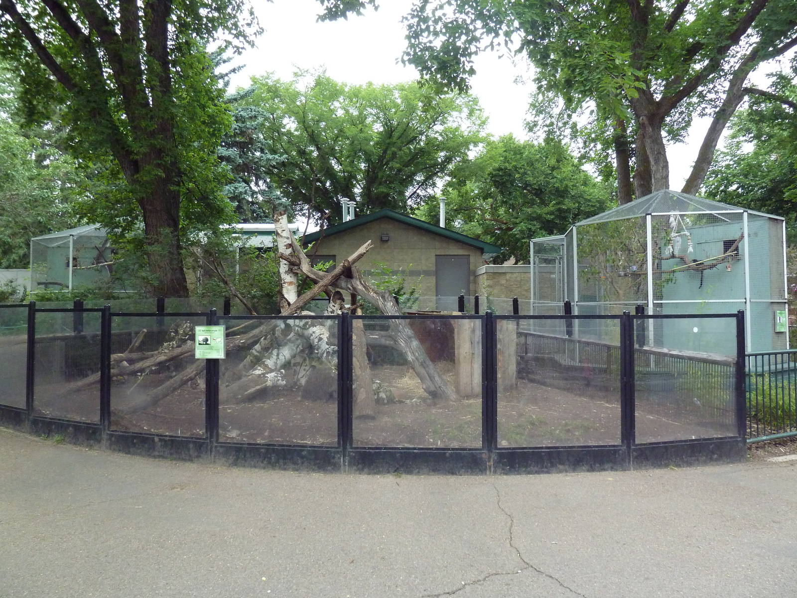 North American Porcupine Exhibit
