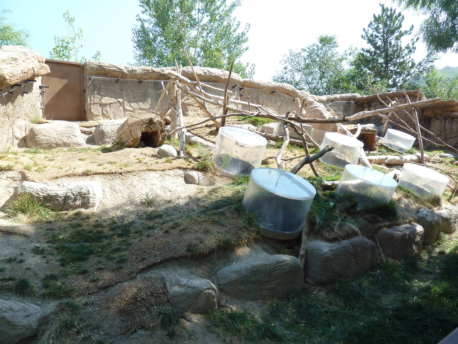 North American Porcupine Exhibit