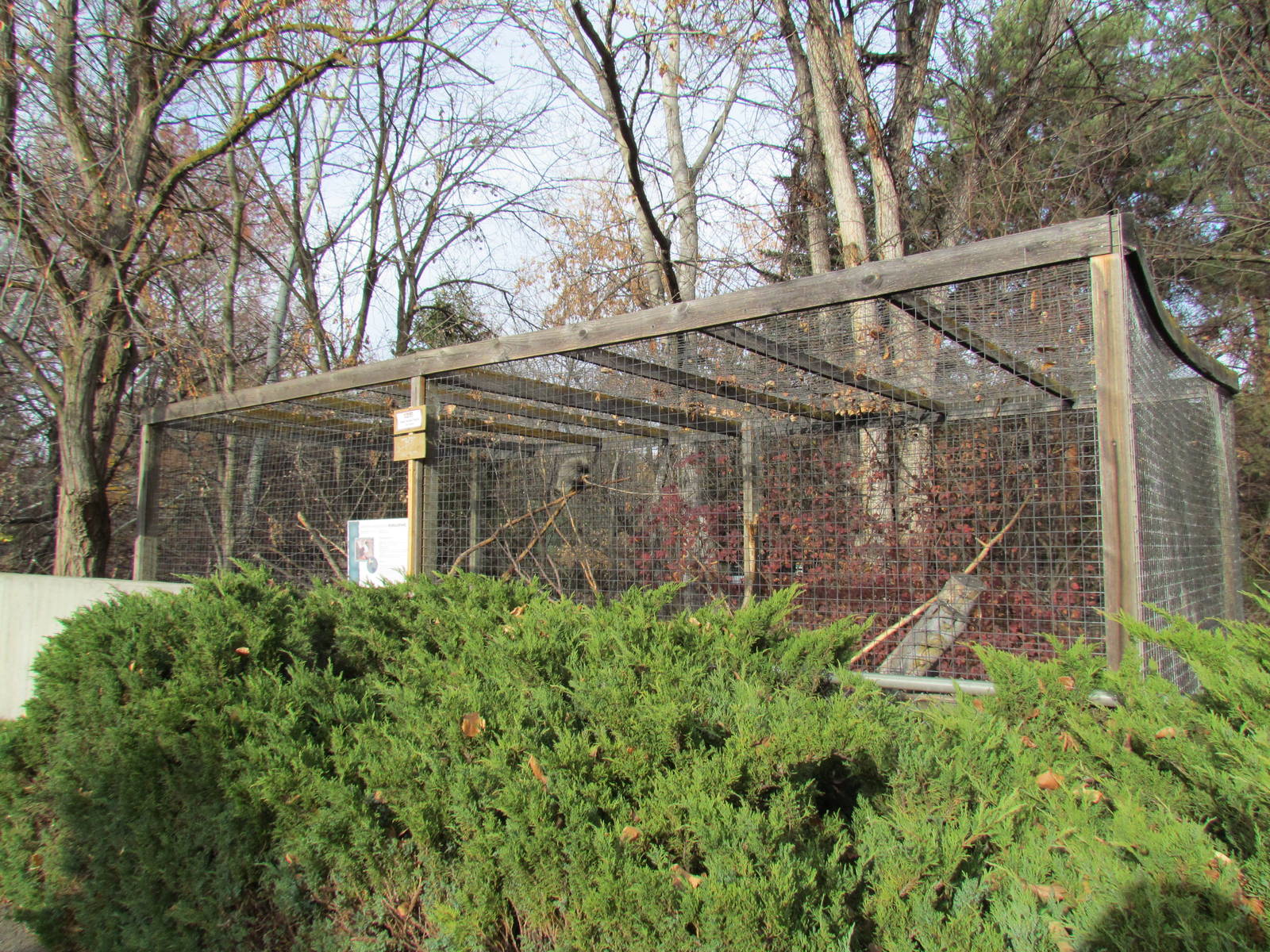 North American Porcupine Exhibit