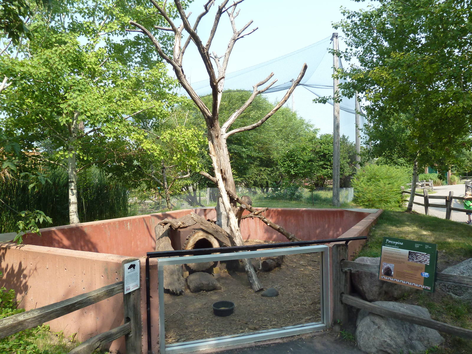 North American Porcupine Exhibit
