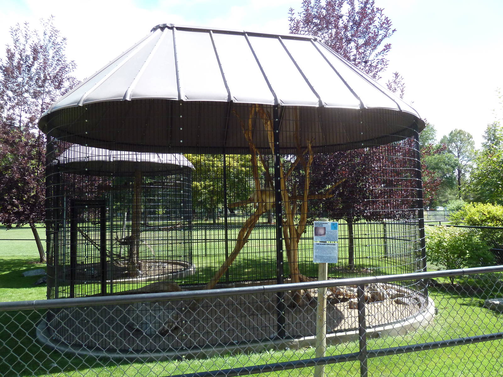 North American Porcupine Exhibit
