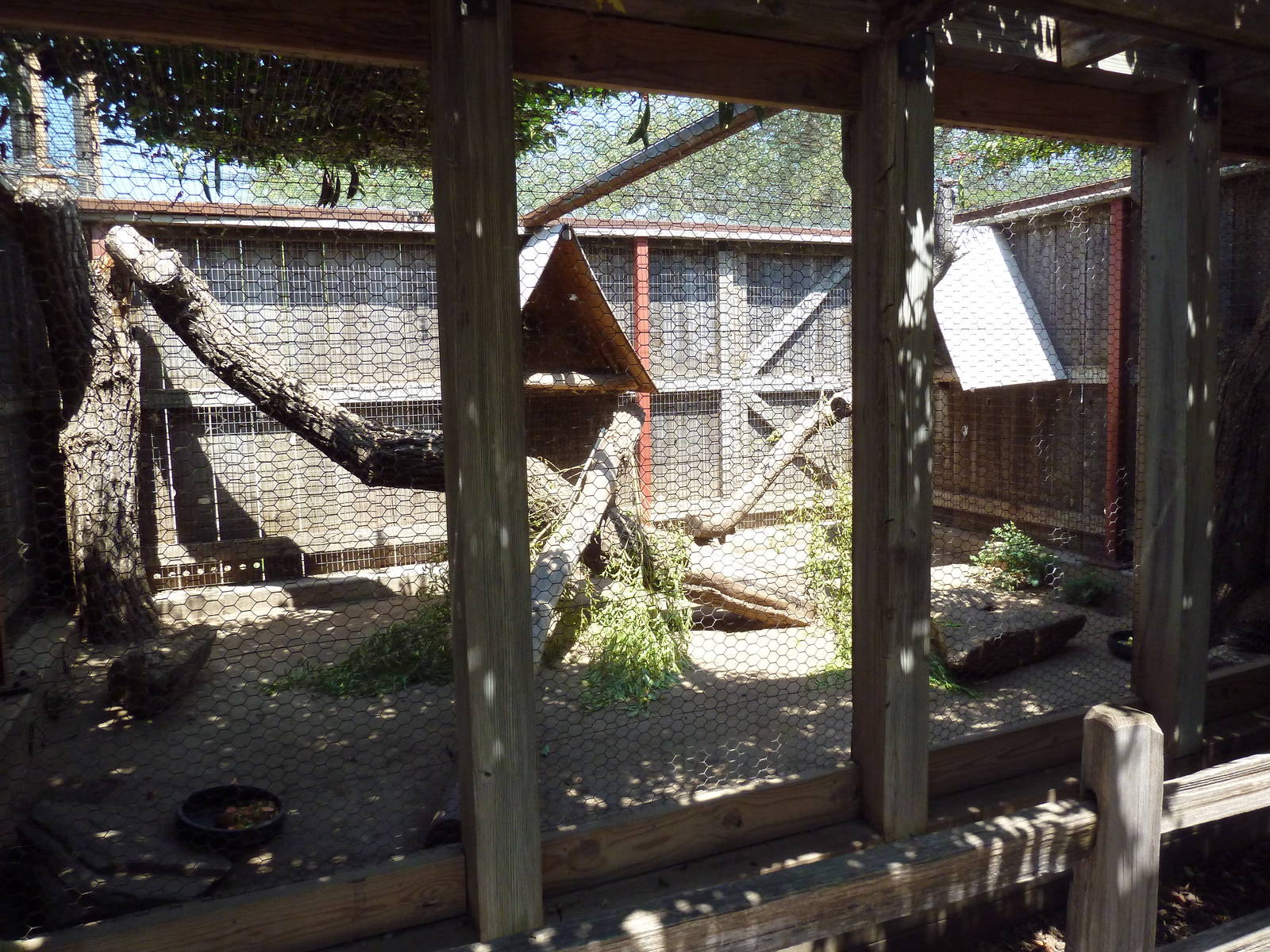 North American Porcupine Exhibit