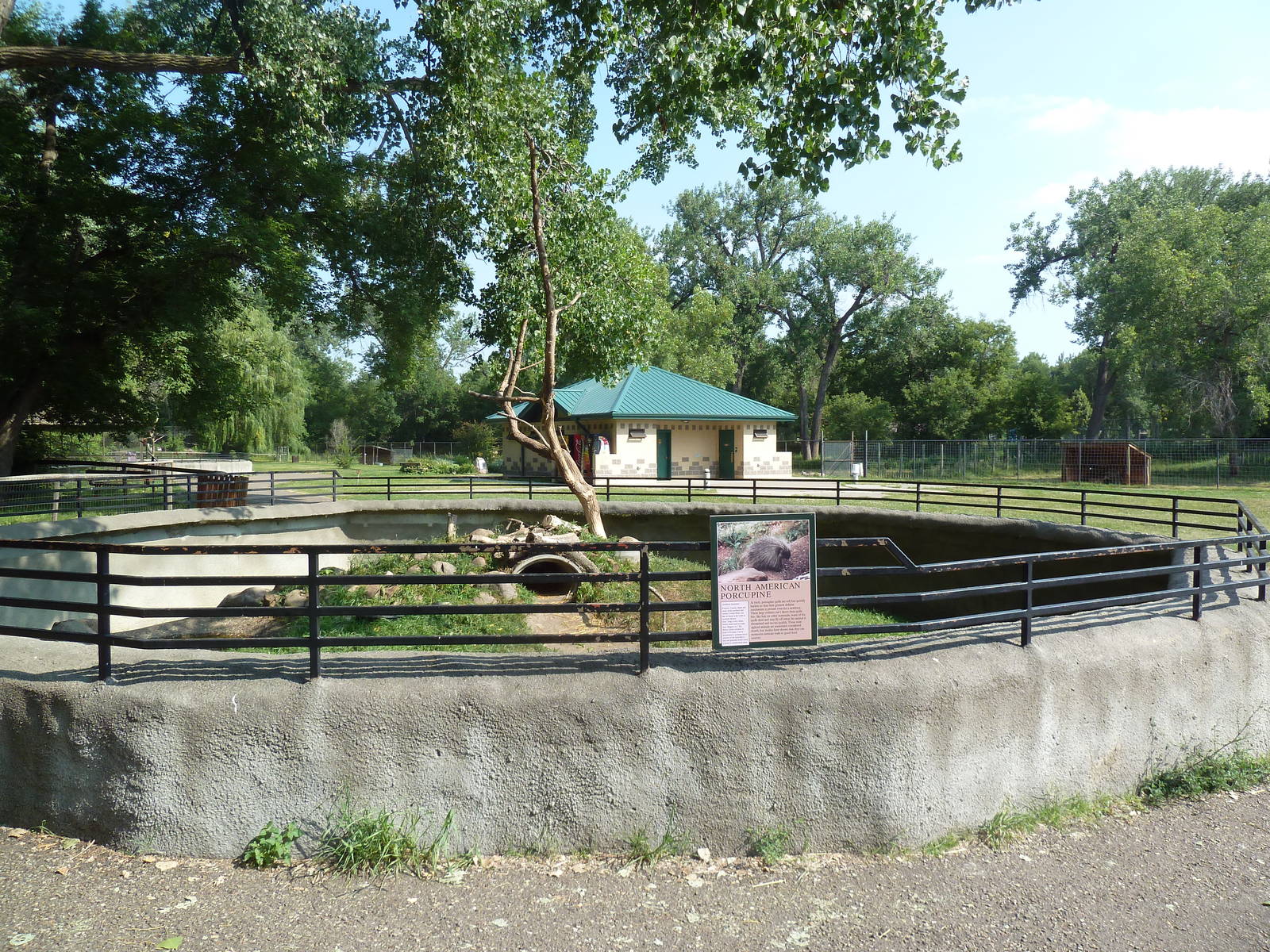 North American Porcupine Exhibit