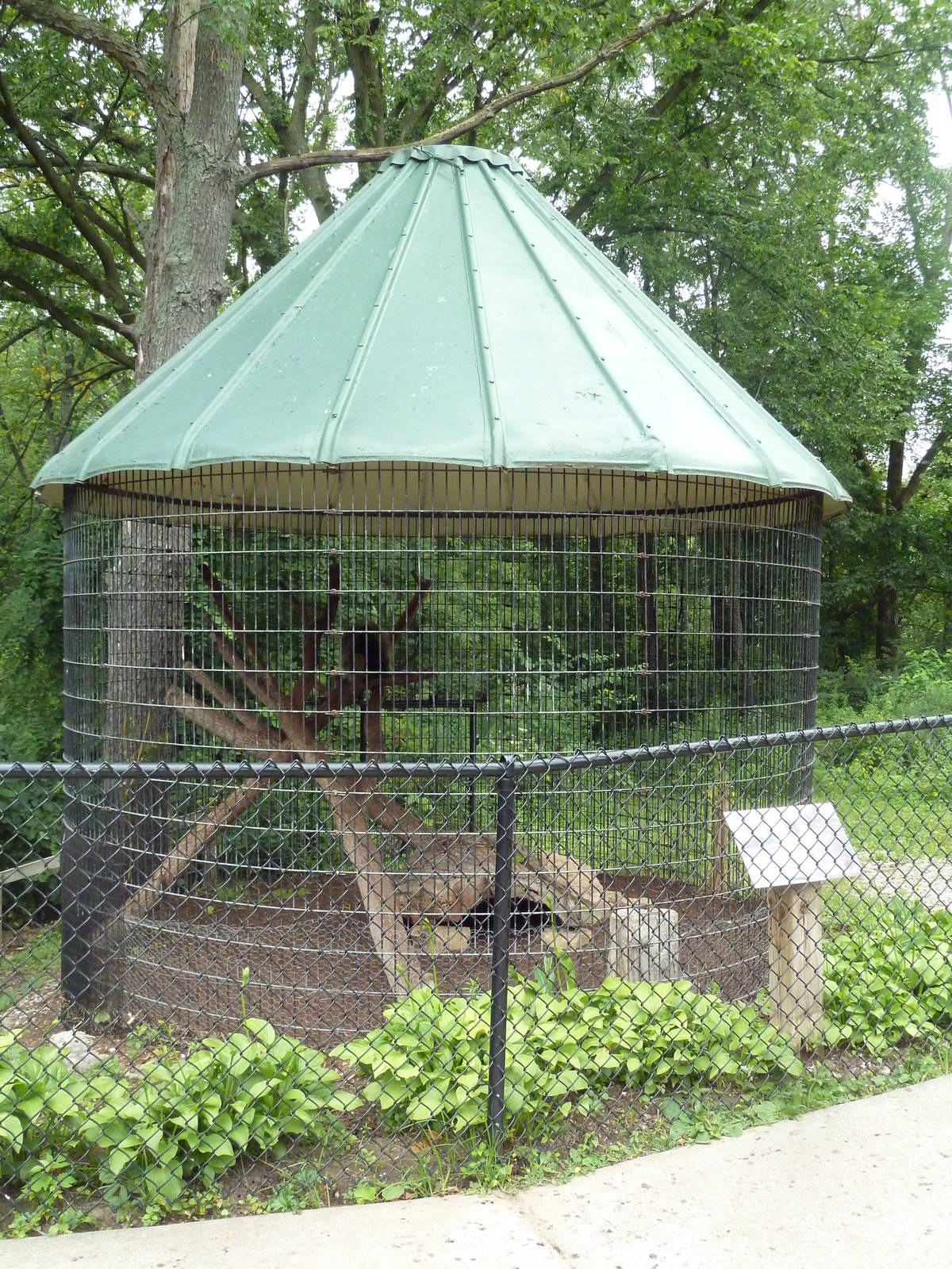 North American Porcupine Exhibit