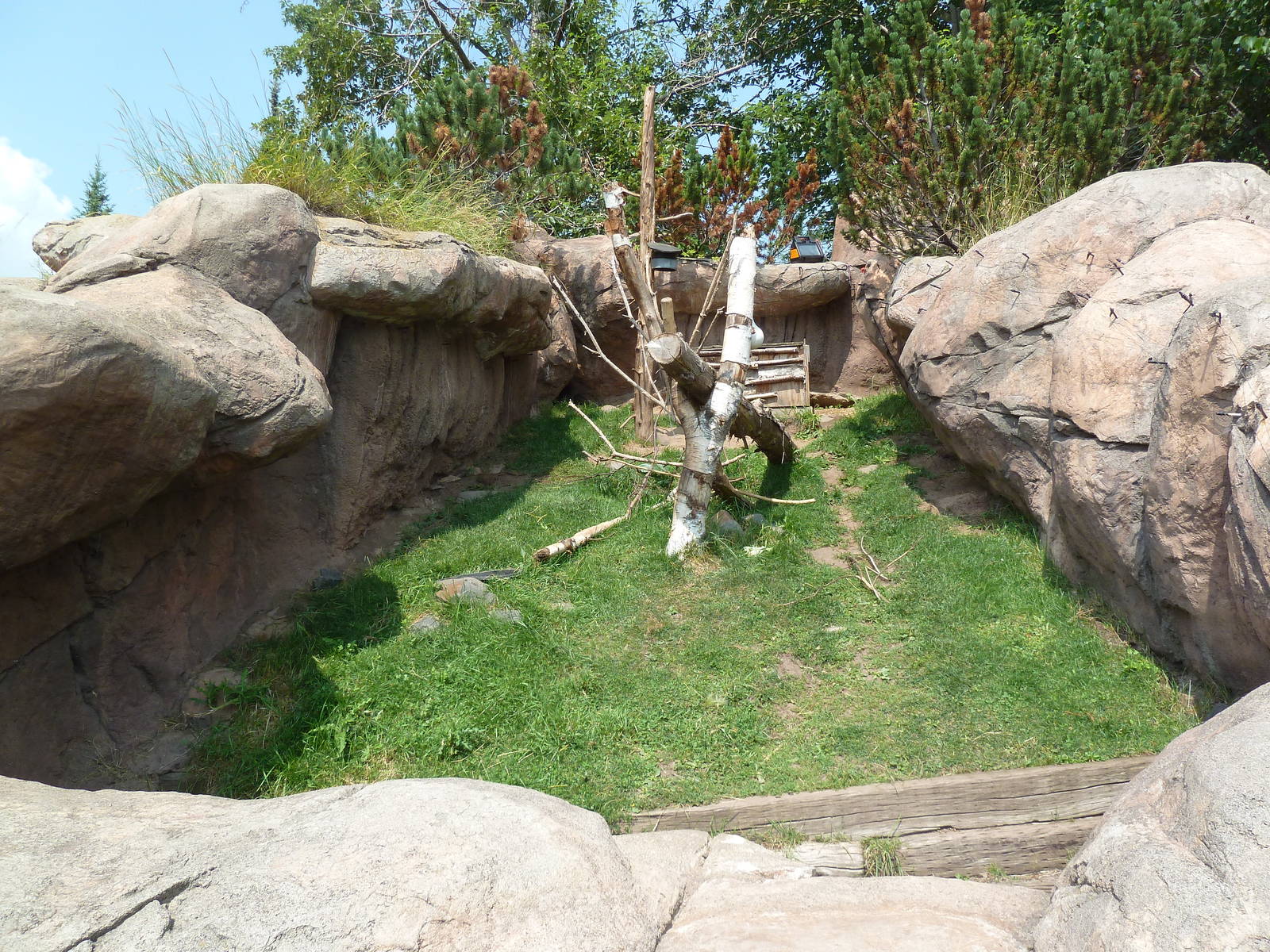North American Porcupine Exhibit