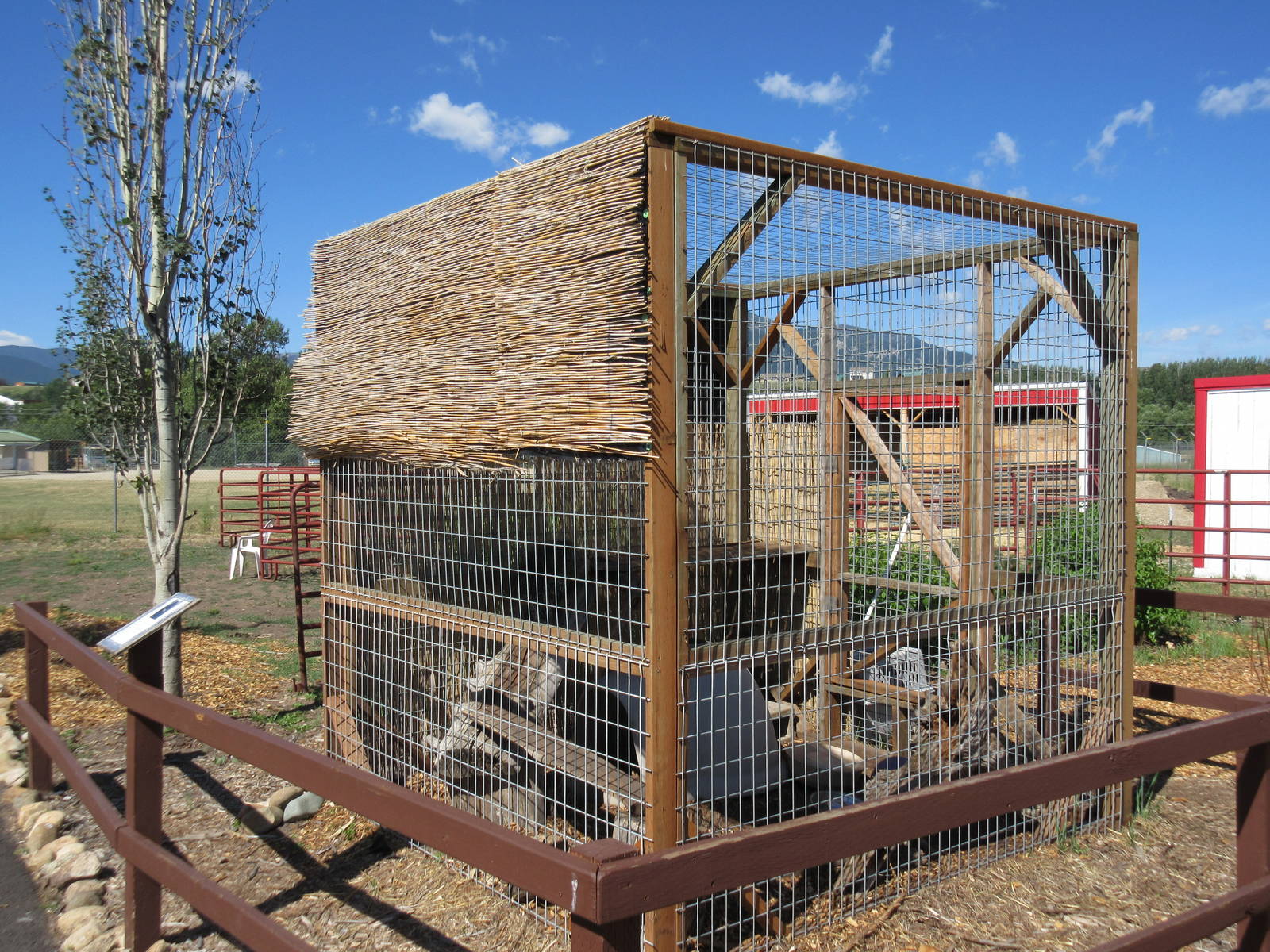 North American Porcupine Exhibit