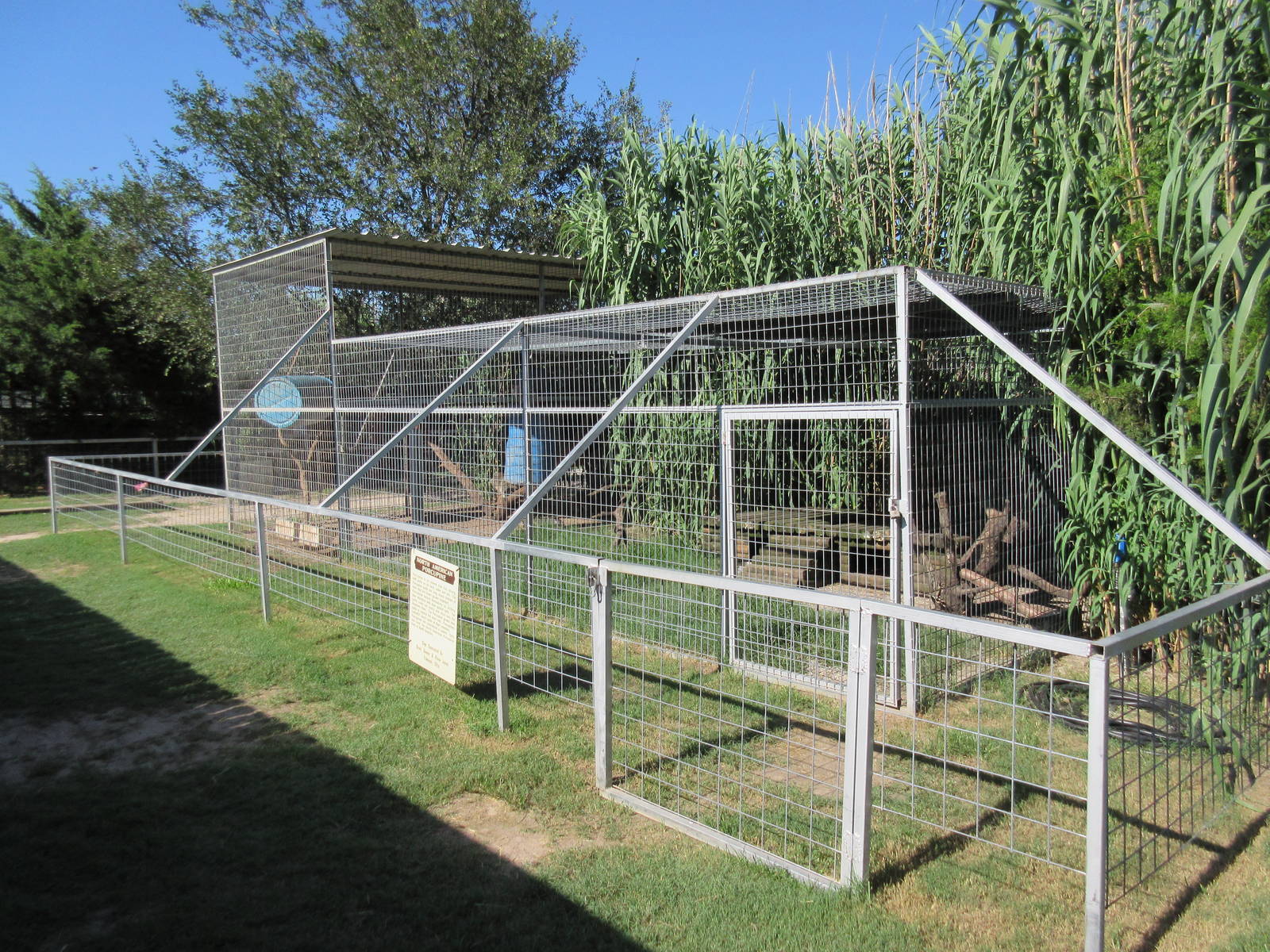 North American Porcupine Exhibit