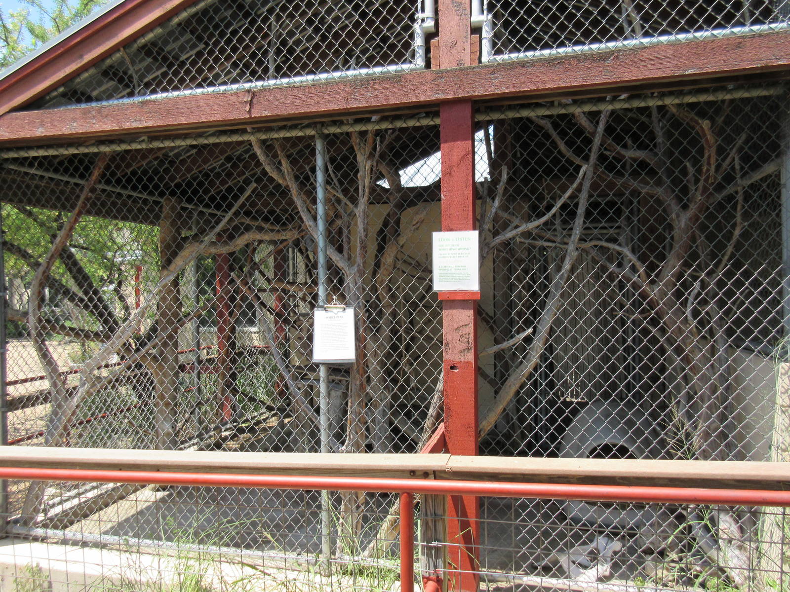 North American Porcupine Exhibit