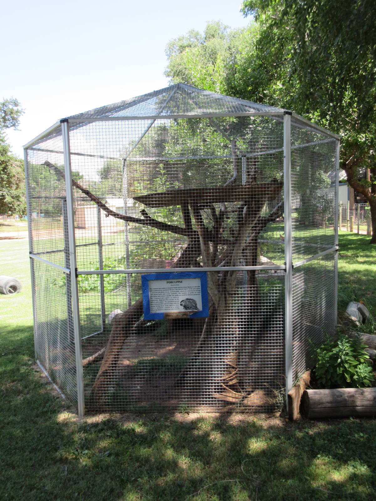 North American Porcupine Exhibit