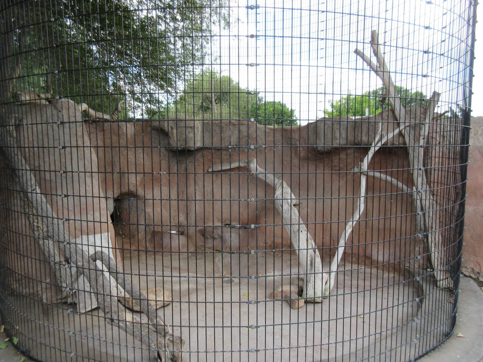 North American Porcupine Exhibit