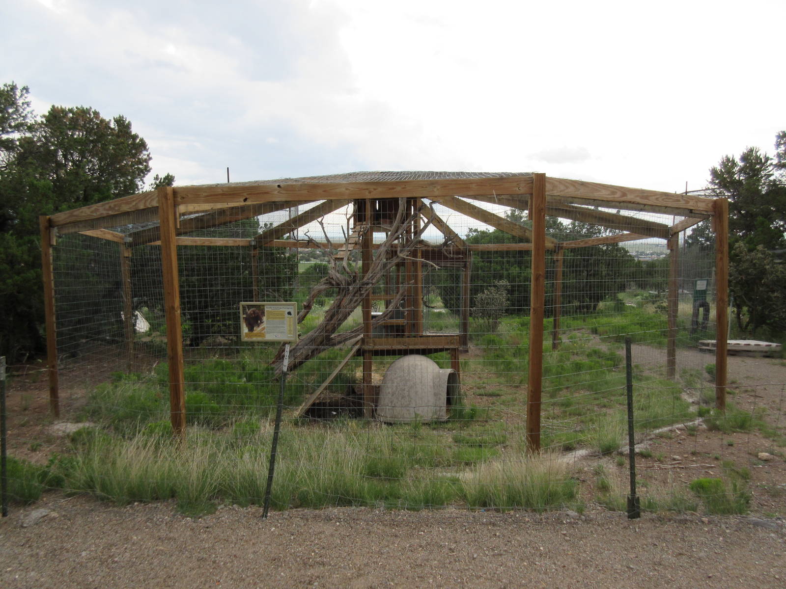 North American Porcupine Exhibit