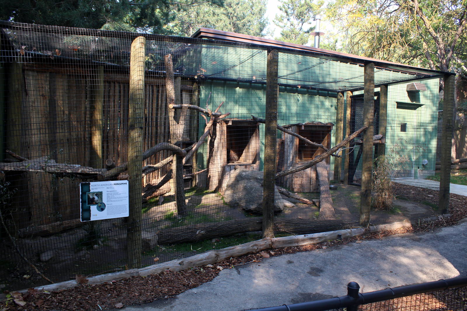 North American Porcupine Exhibit