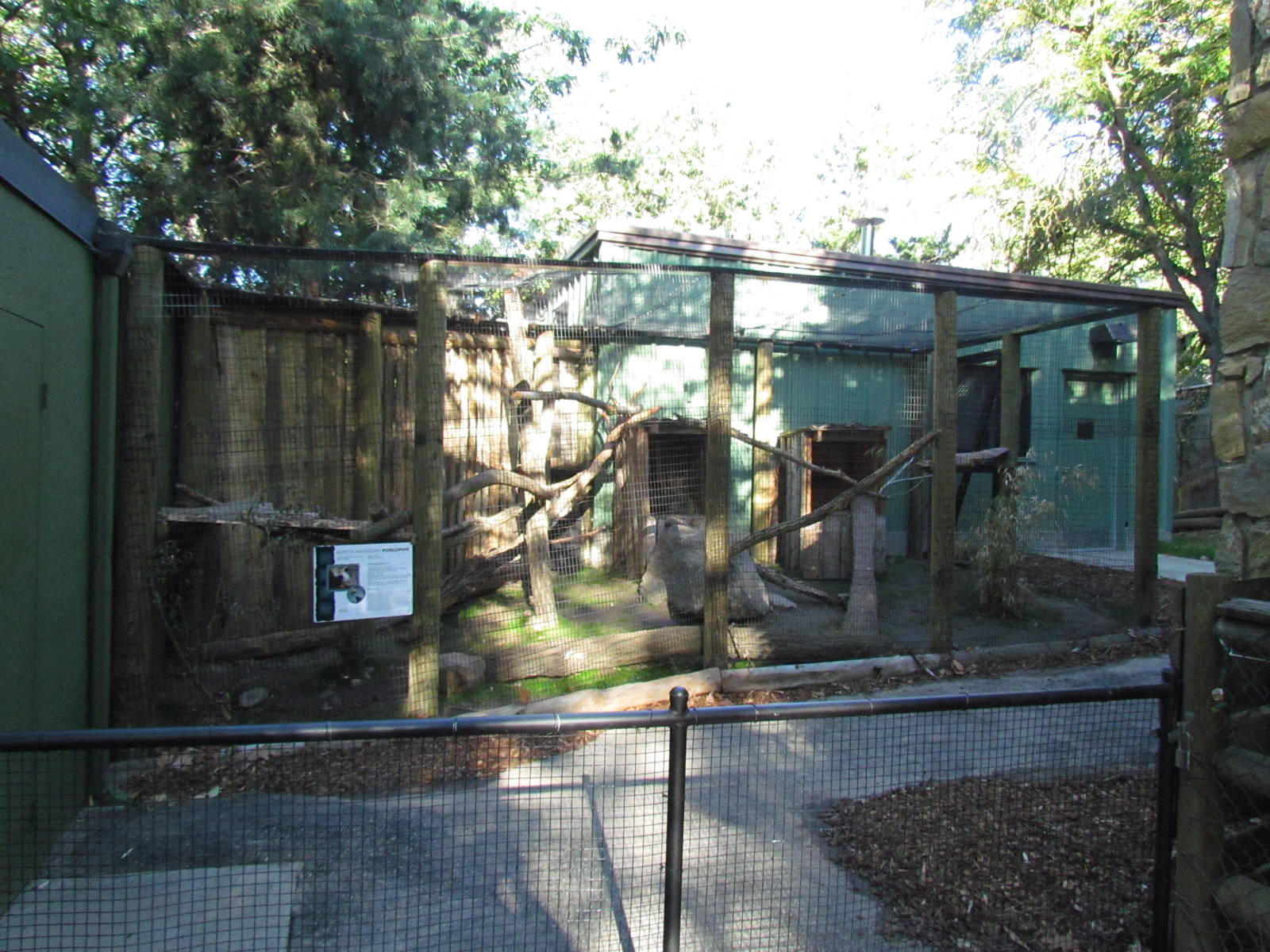 North American Porcupine Exhibit
