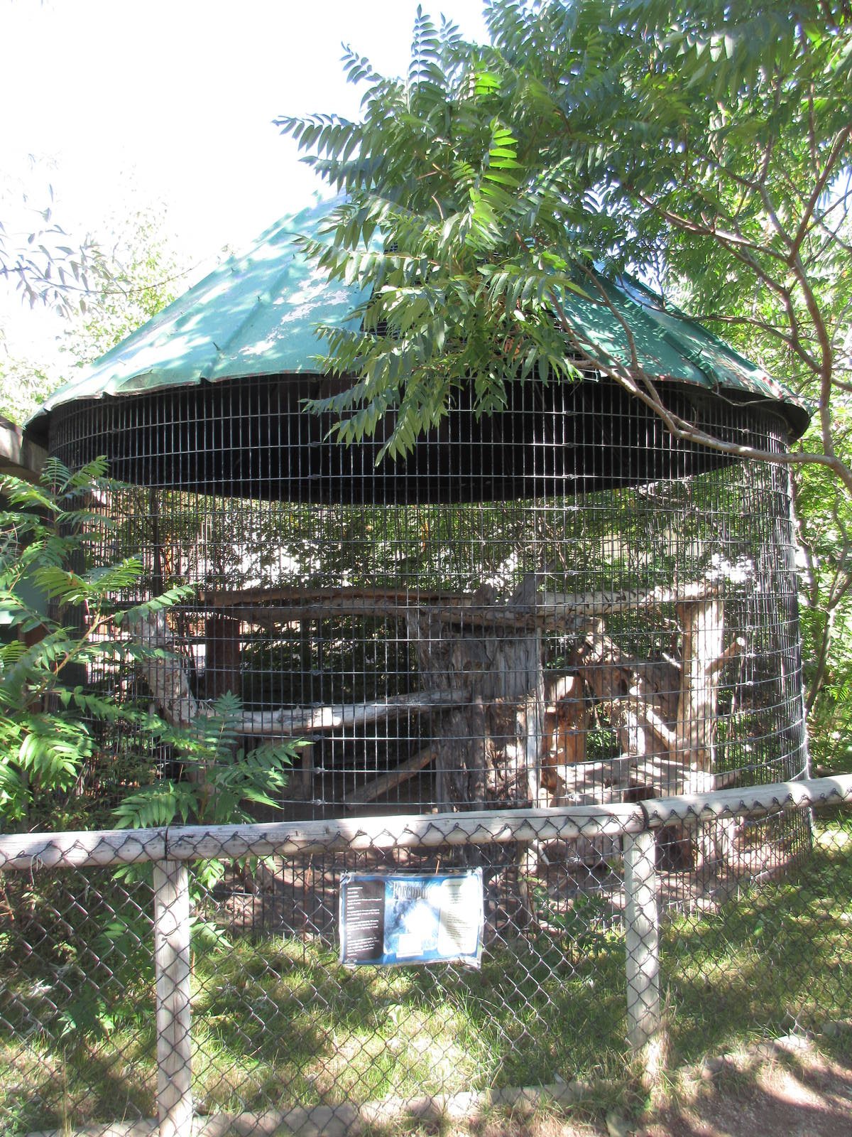 North American Porcupine Exhibit
