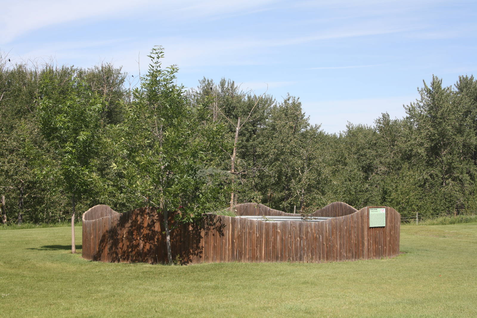 North American Porcupine Exhibit
