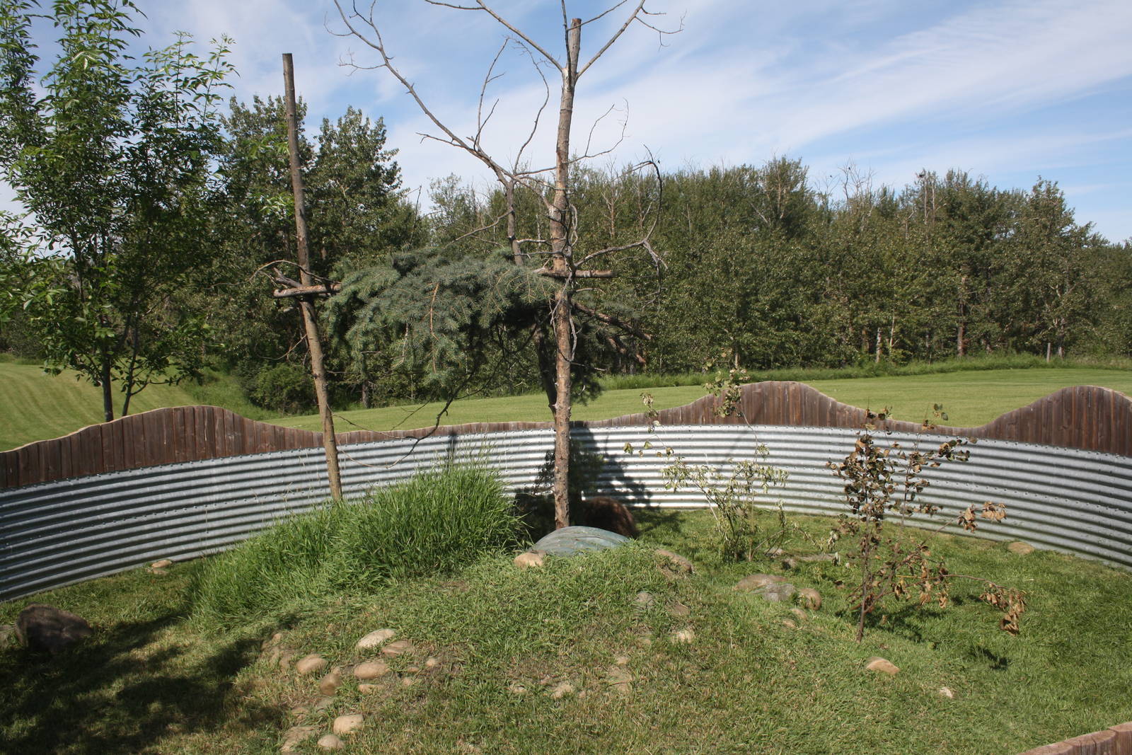 North American Porcupine Exhibit