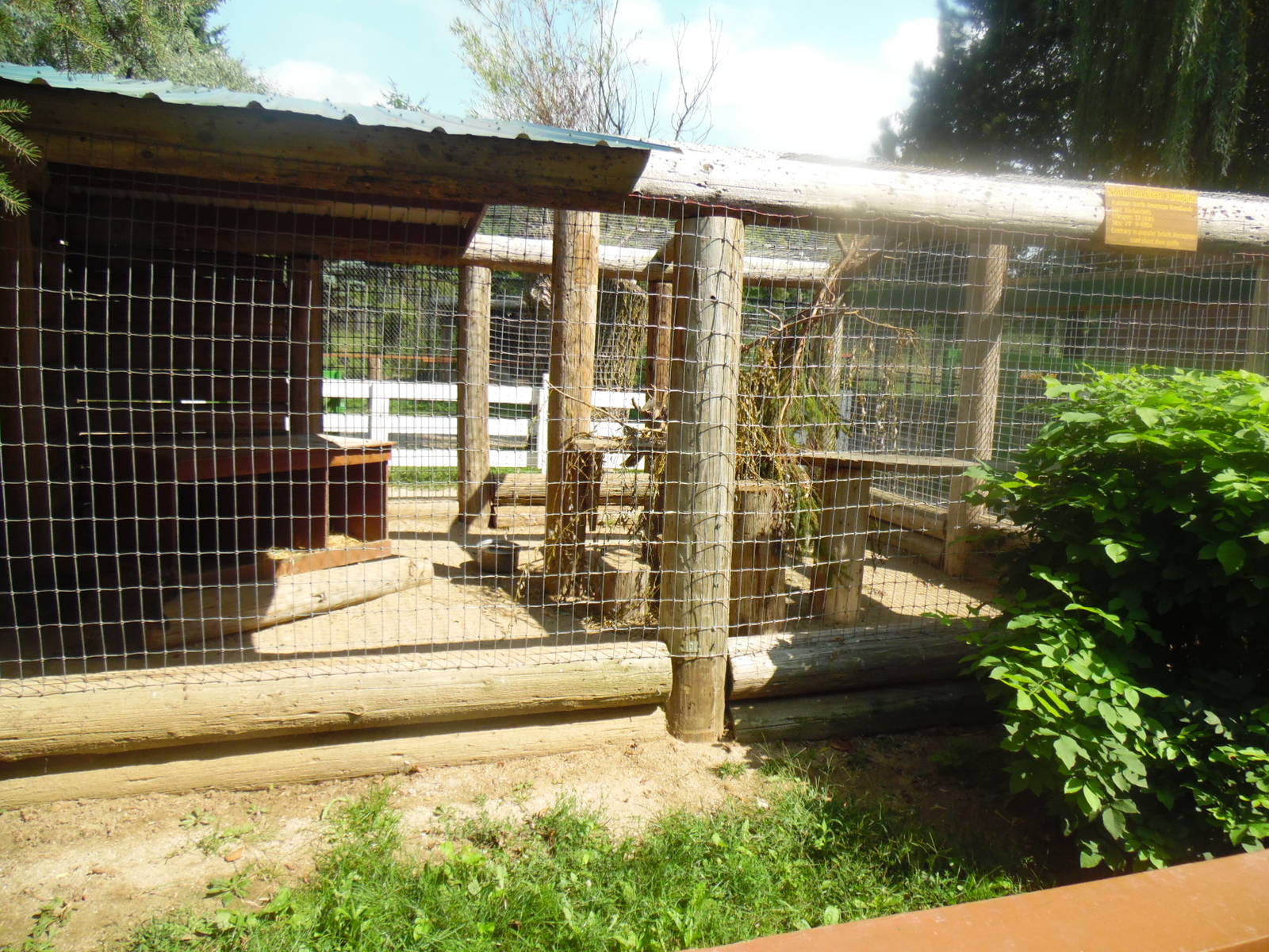 North American Porcupine Exhibit