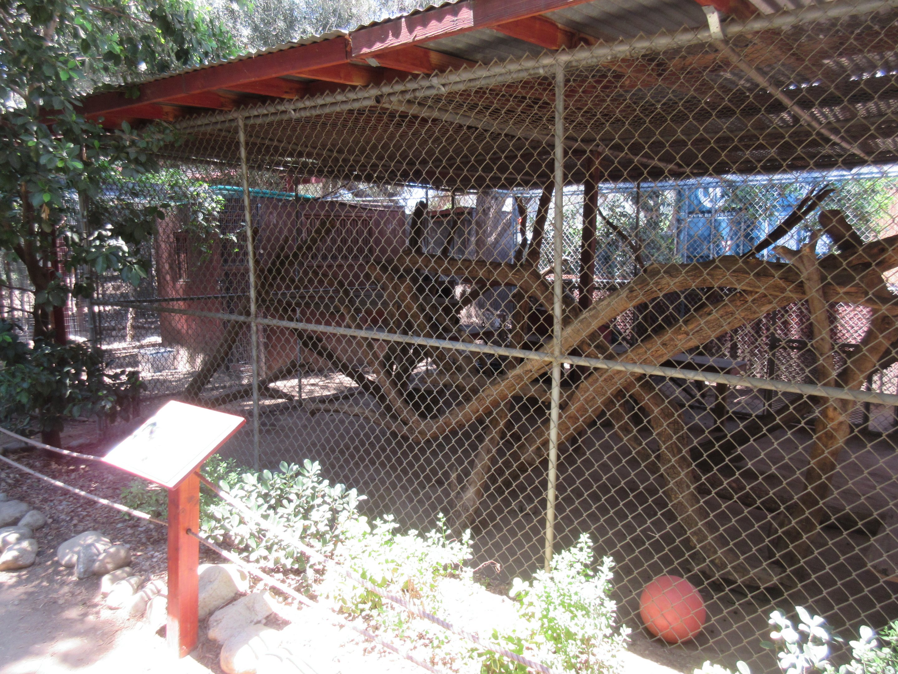 North American Porcupine Exhibit