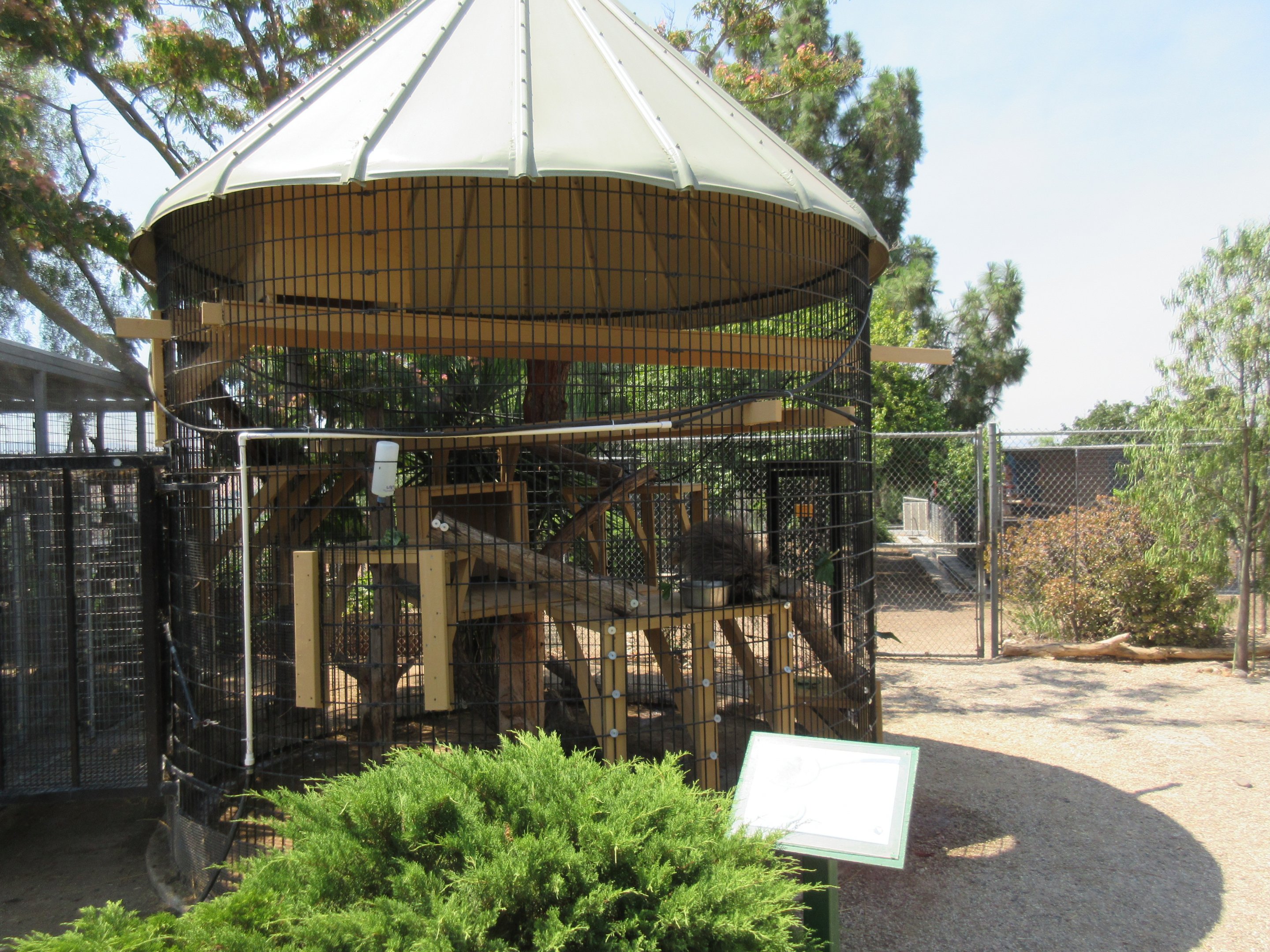North American Porcupine Exhibit