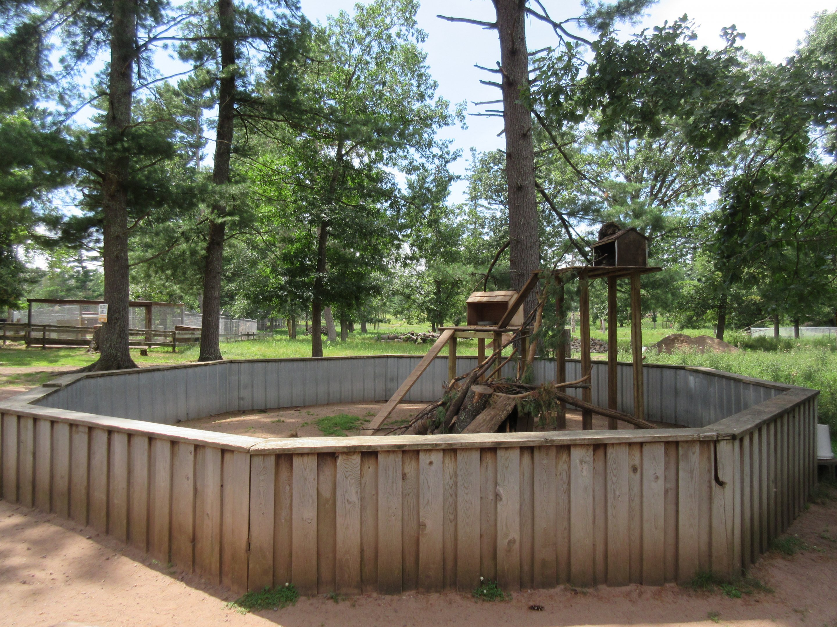 North American Porcupine Exhibit