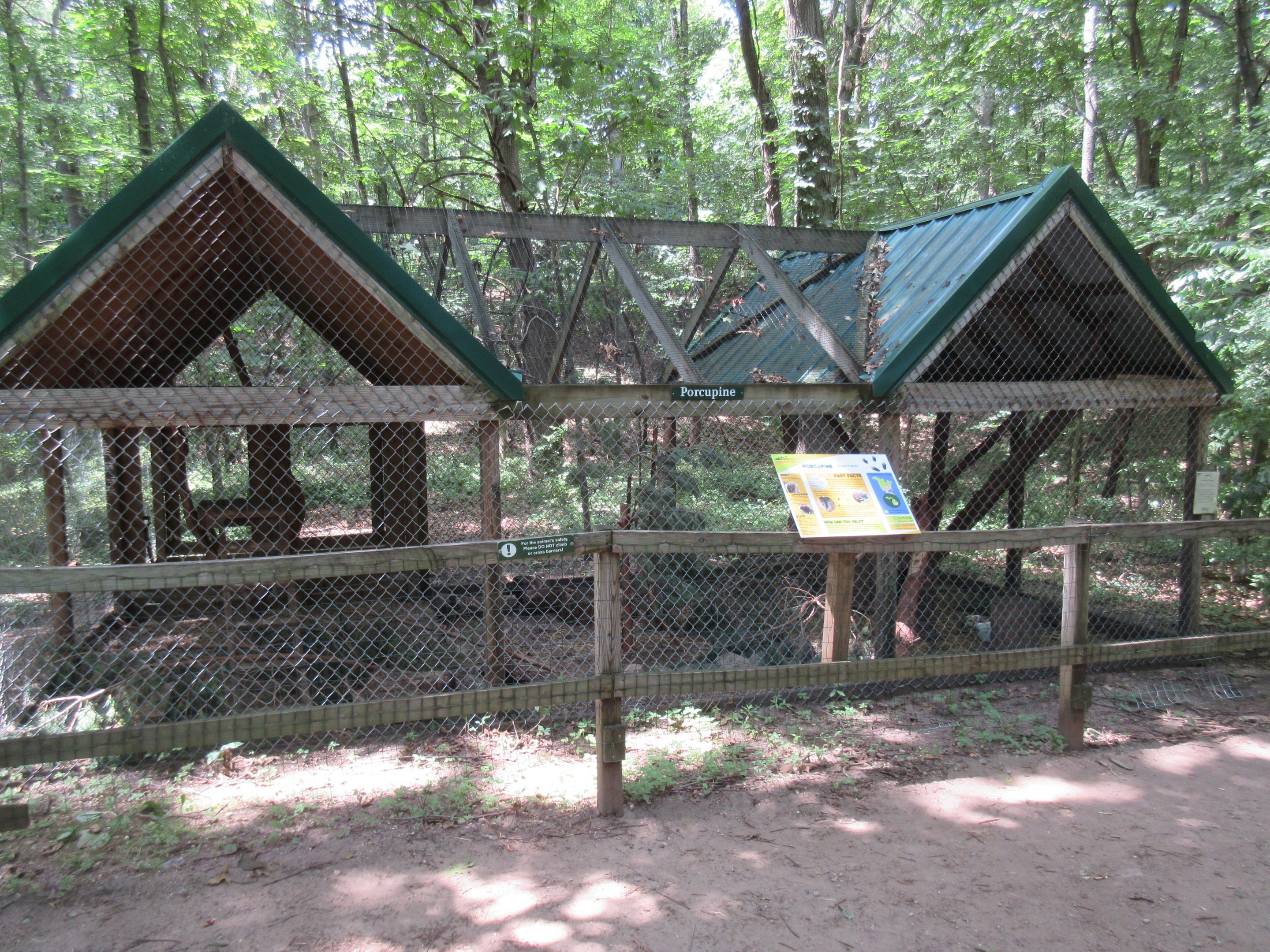 North American Porcupine Exhibit