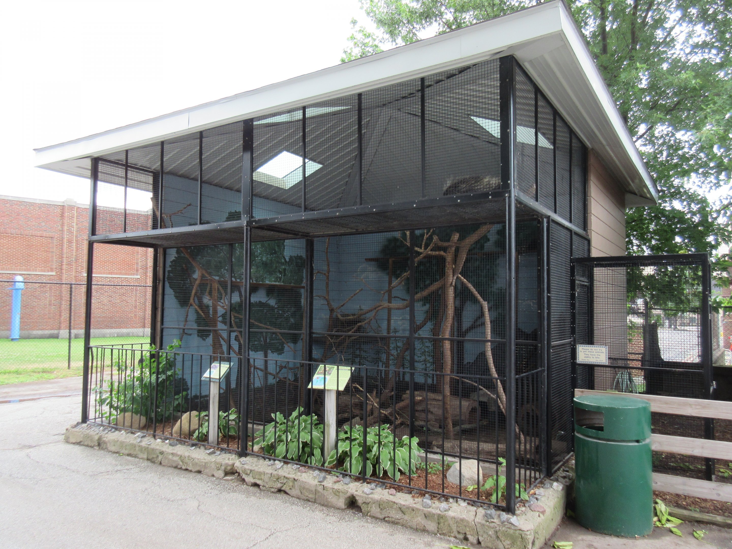 North American Porcupine Exhibit