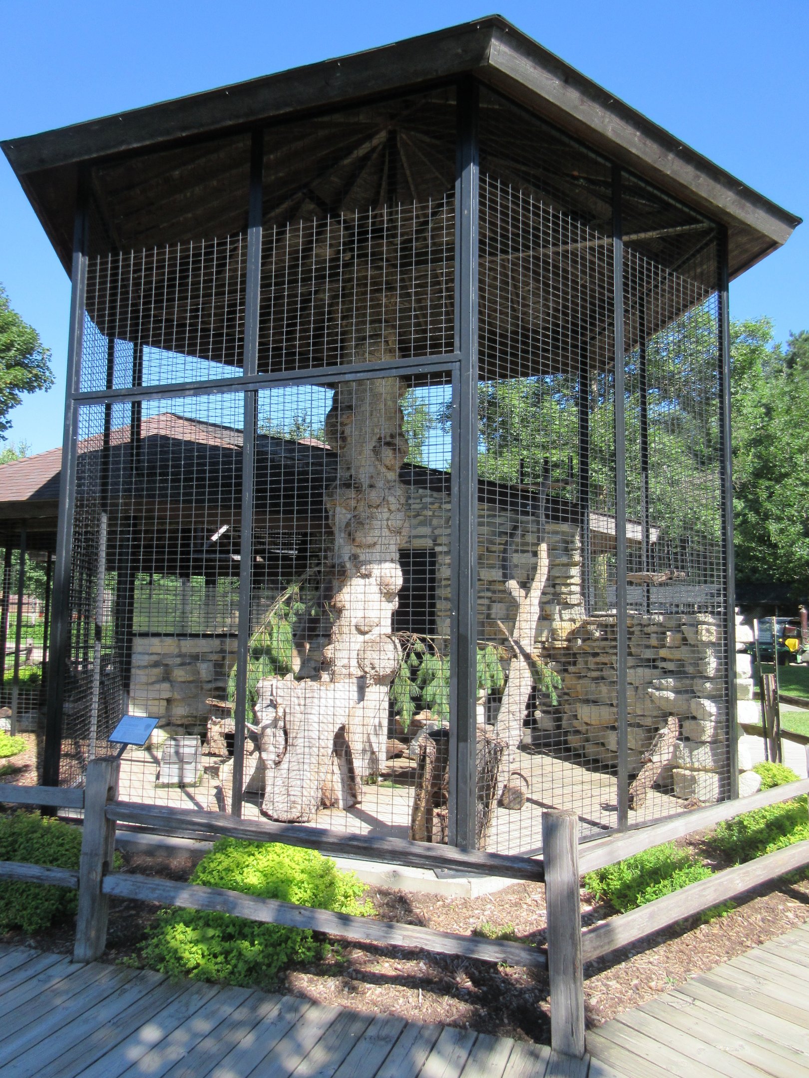 North American Porcupine Exhibit