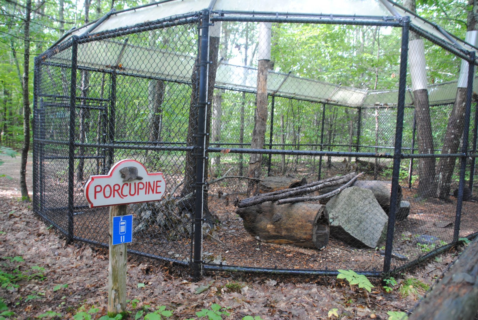 North American Porcupine exhibit