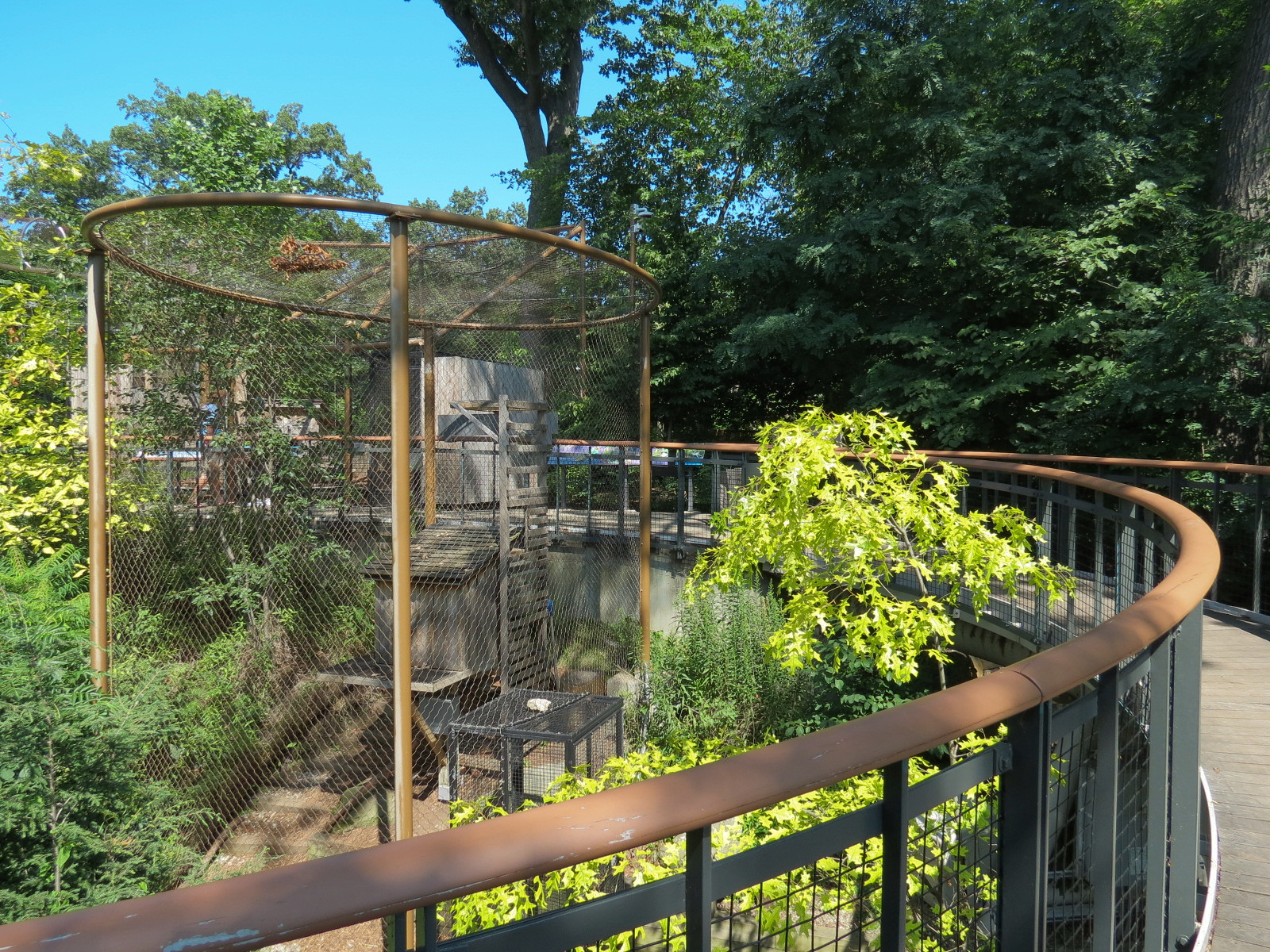 North American Porcupine Exhibit
