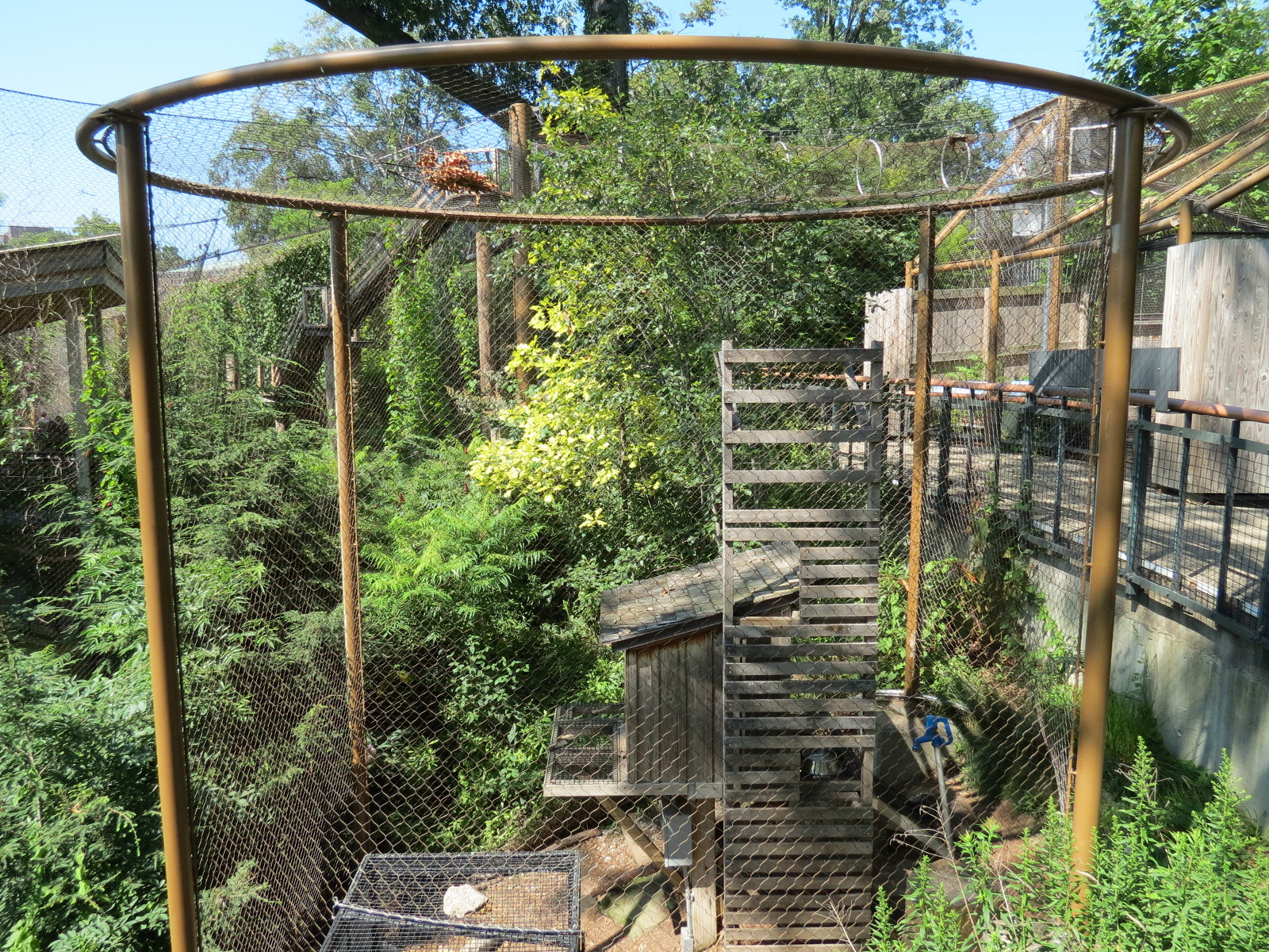 North American Porcupine Exhibit