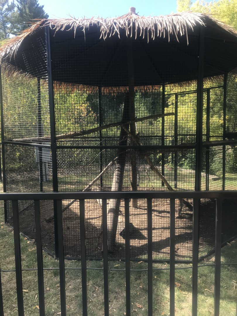 North American Porcupine Exhibit