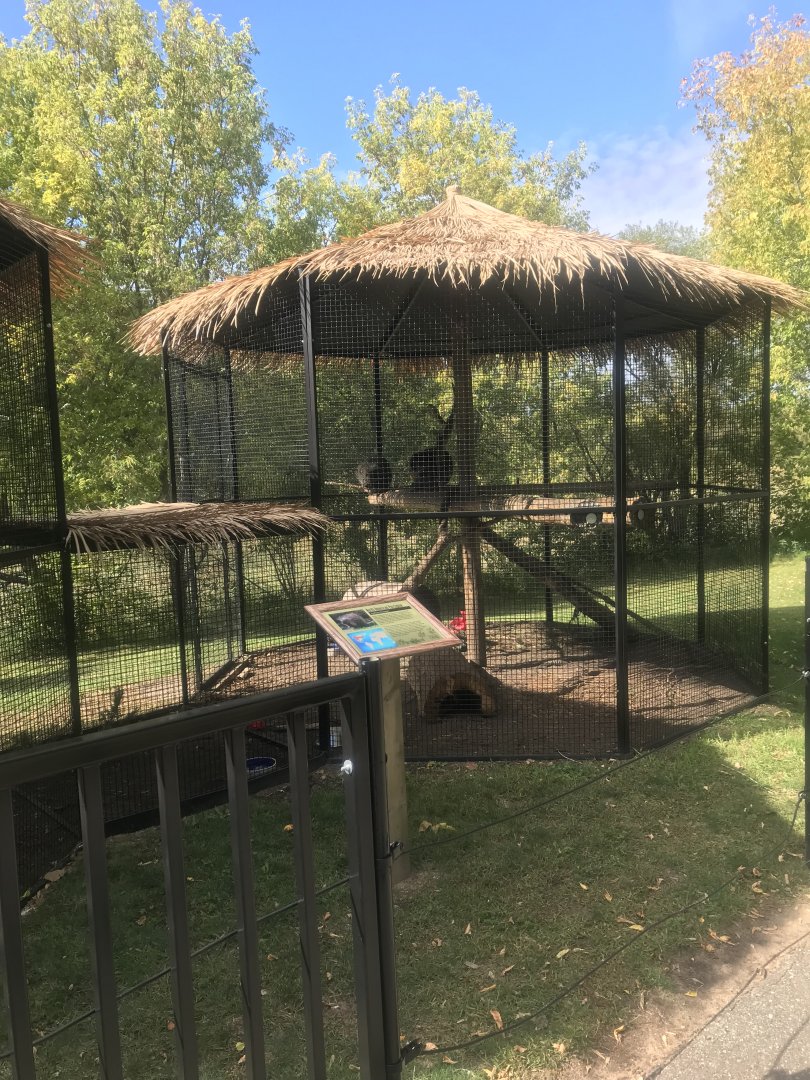 North American Porcupine Exhibit
