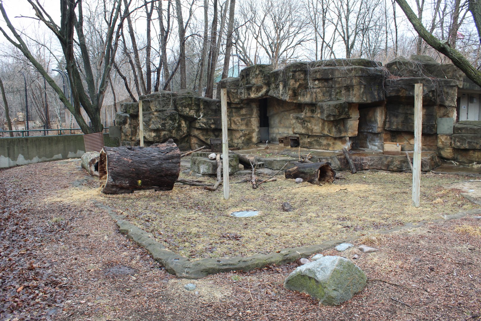 North American Porcupine Exhibit