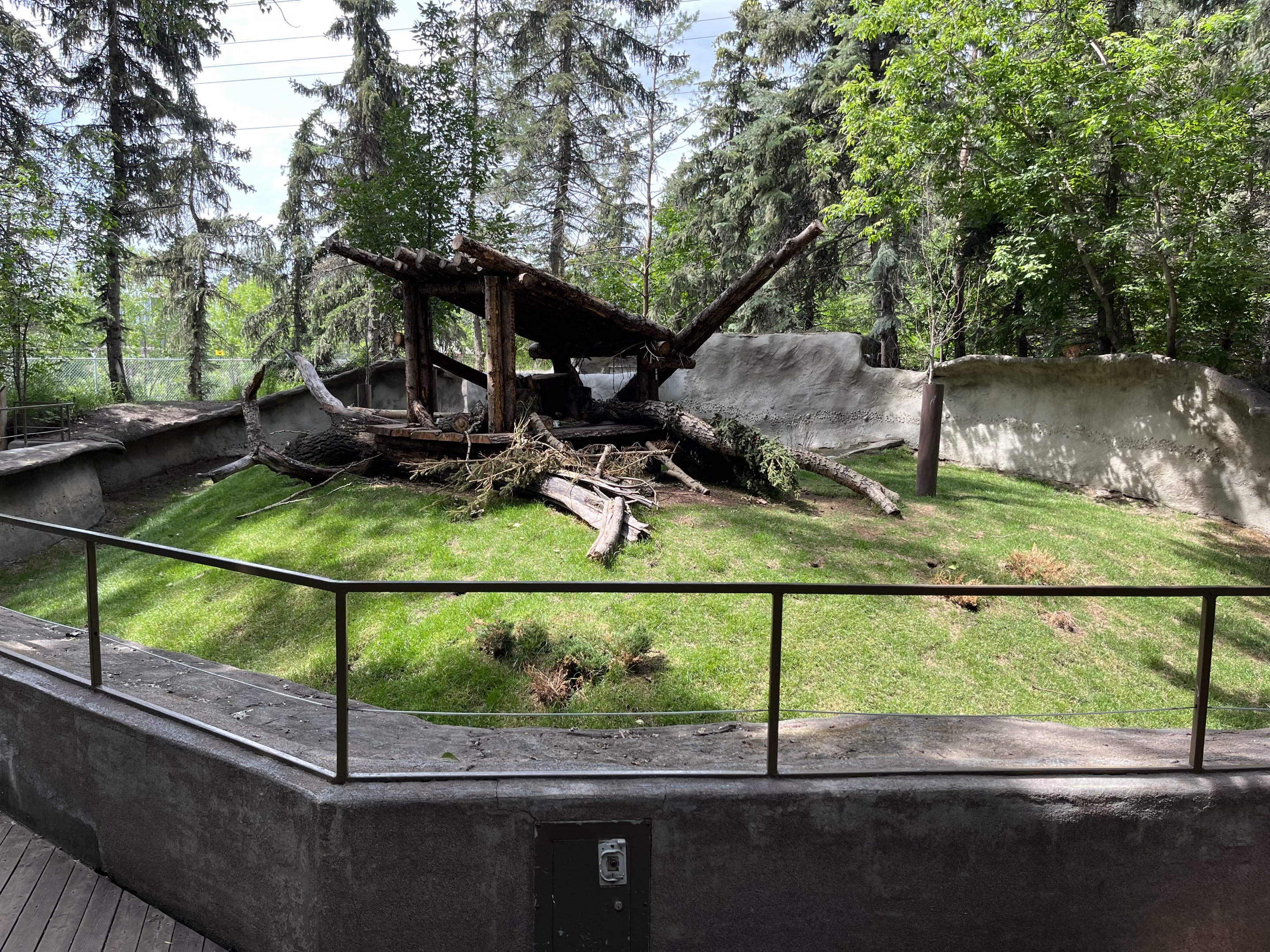 North American Porcupine Exhibit