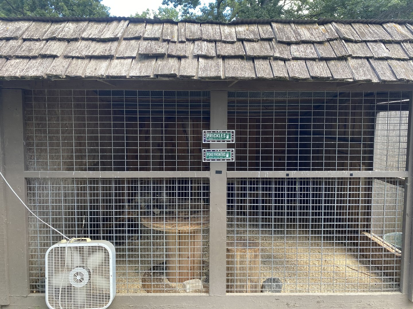 North American Porcupine Exhibit