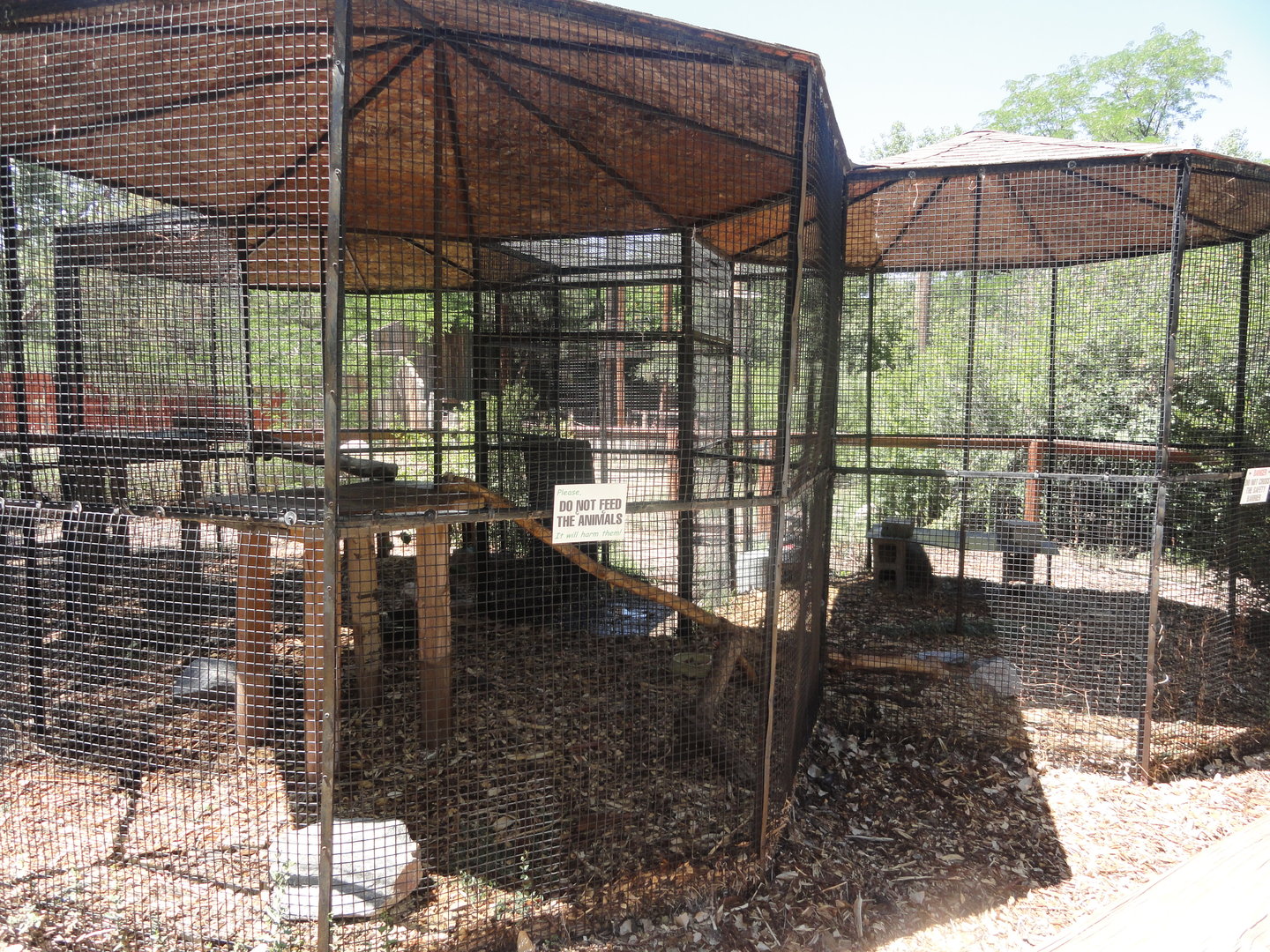 North American Porcupine Exhibit