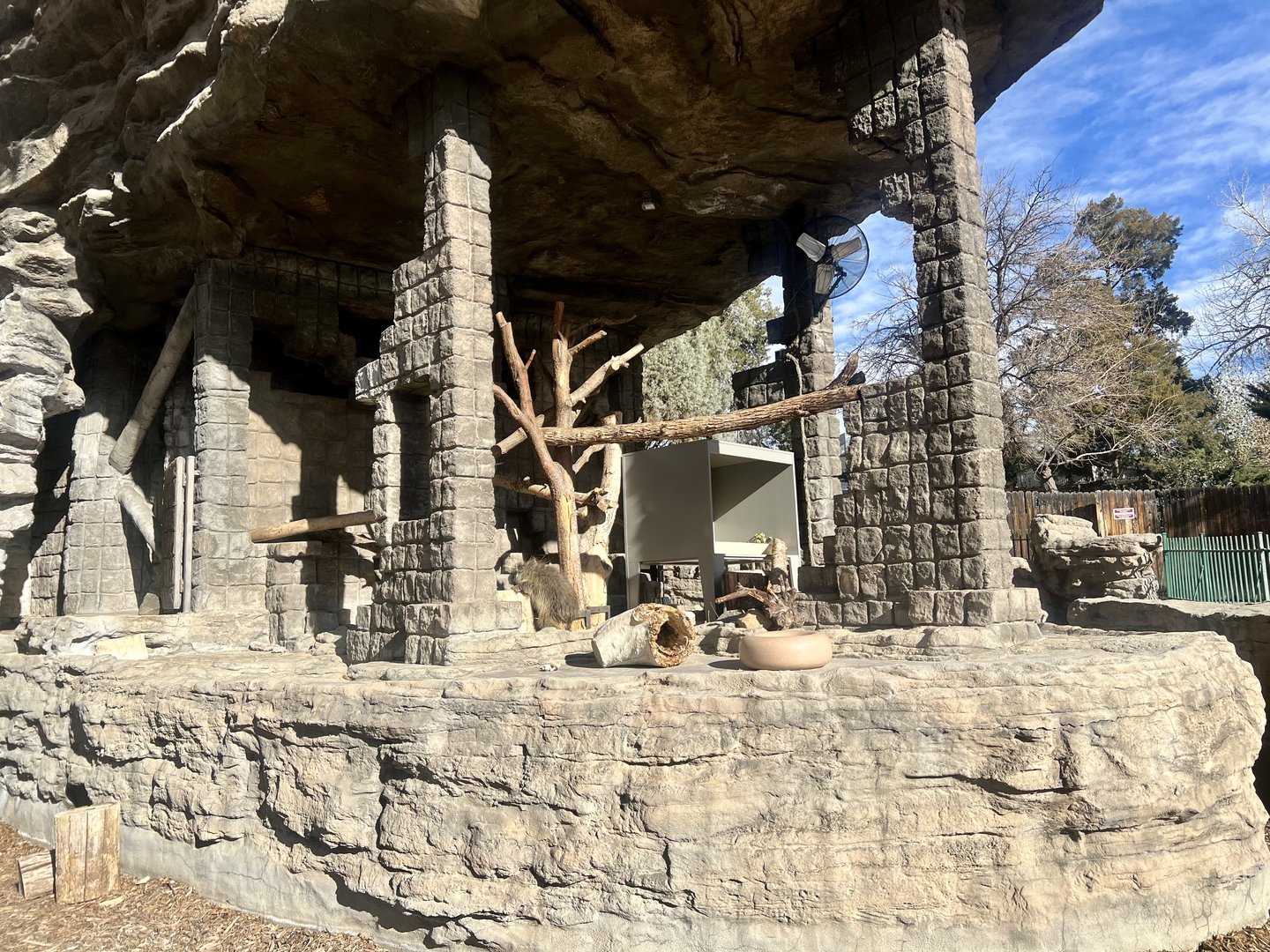 North American Porcupine Exhibit