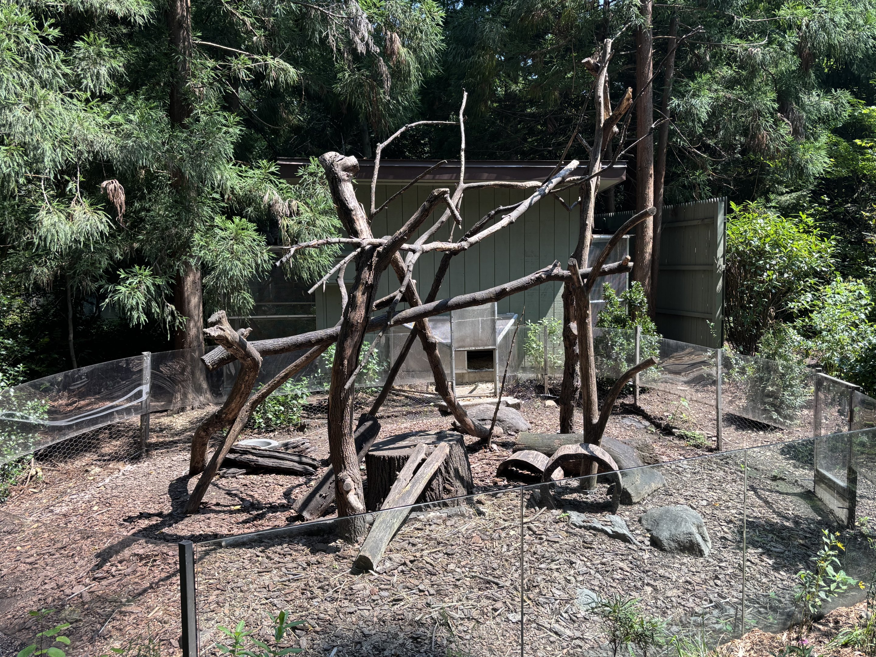 North American Porcupine Exhibit