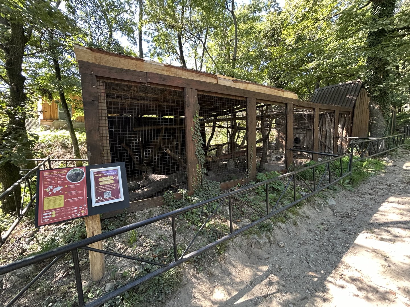 North American Porcupine Exhibit