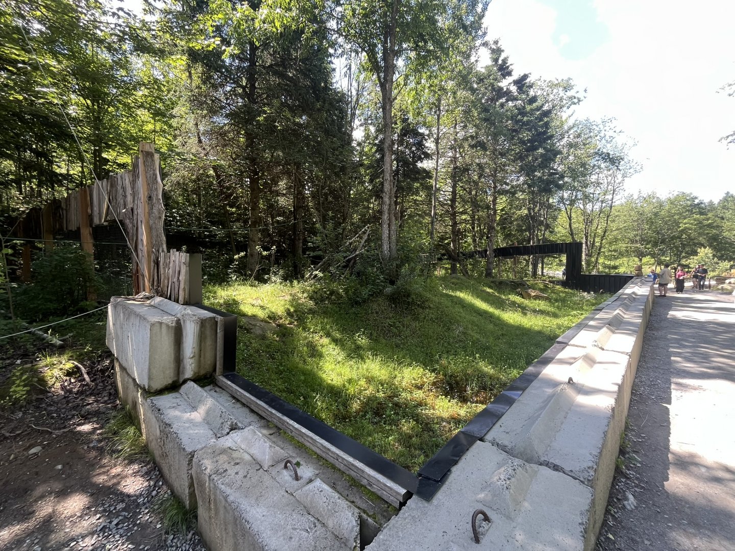 North American Porcupine exhibit