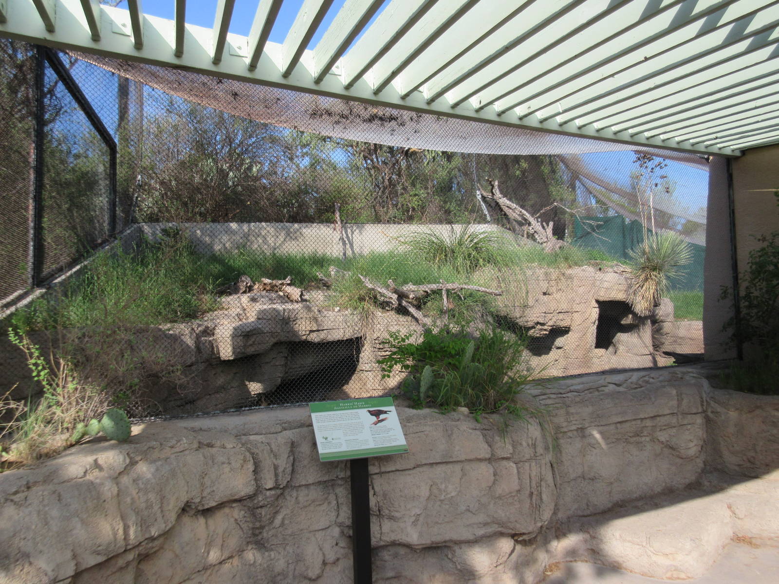 North American Porcupine/Harris' Hawk Exhibit (Viewing Area #1)