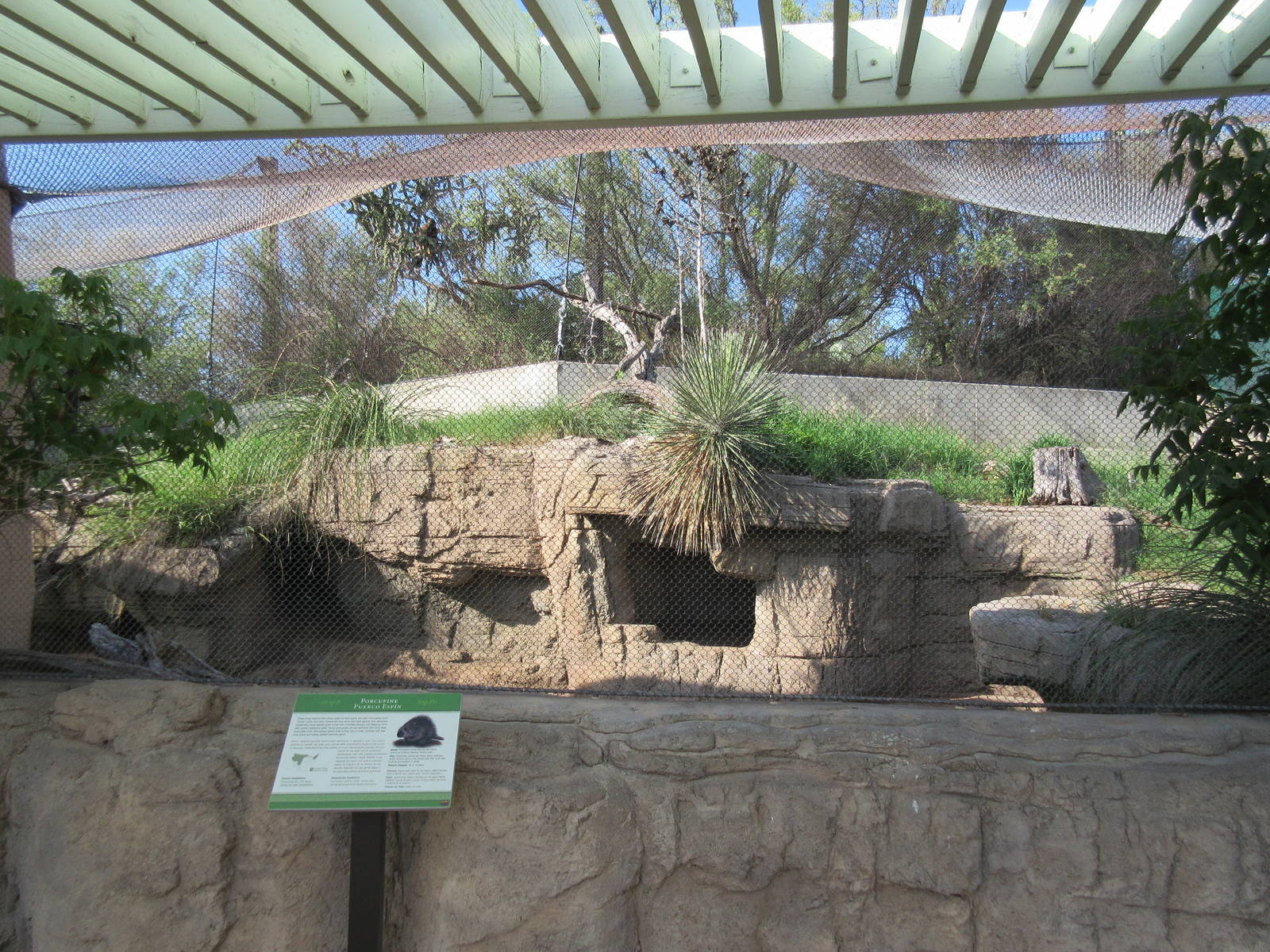 North American Porcupine/Harris' Hawk Exhibit (Viewing Area #2)
