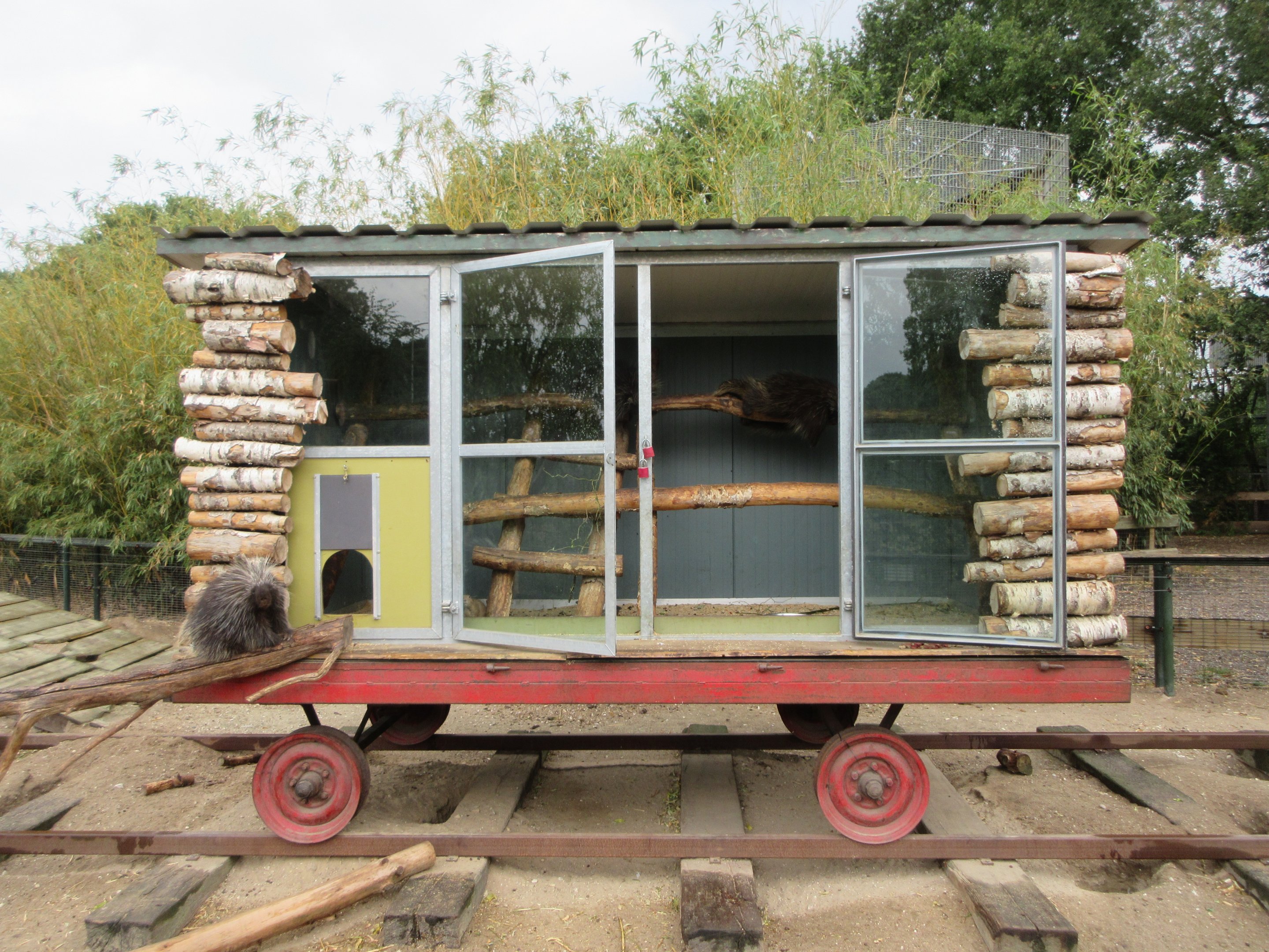 North American Porcupine House (4 in there!)