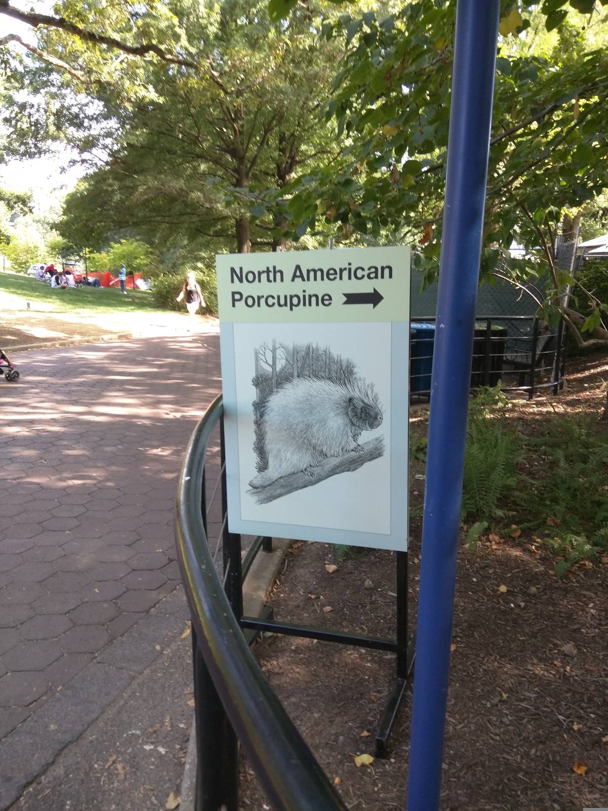 North American Porcupine sign