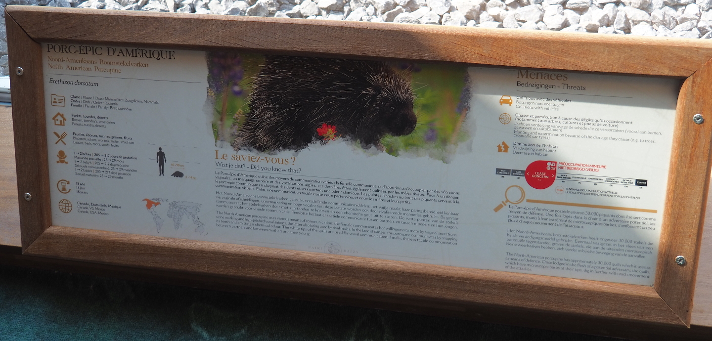 North American porcupine signage, 2021-09-02
