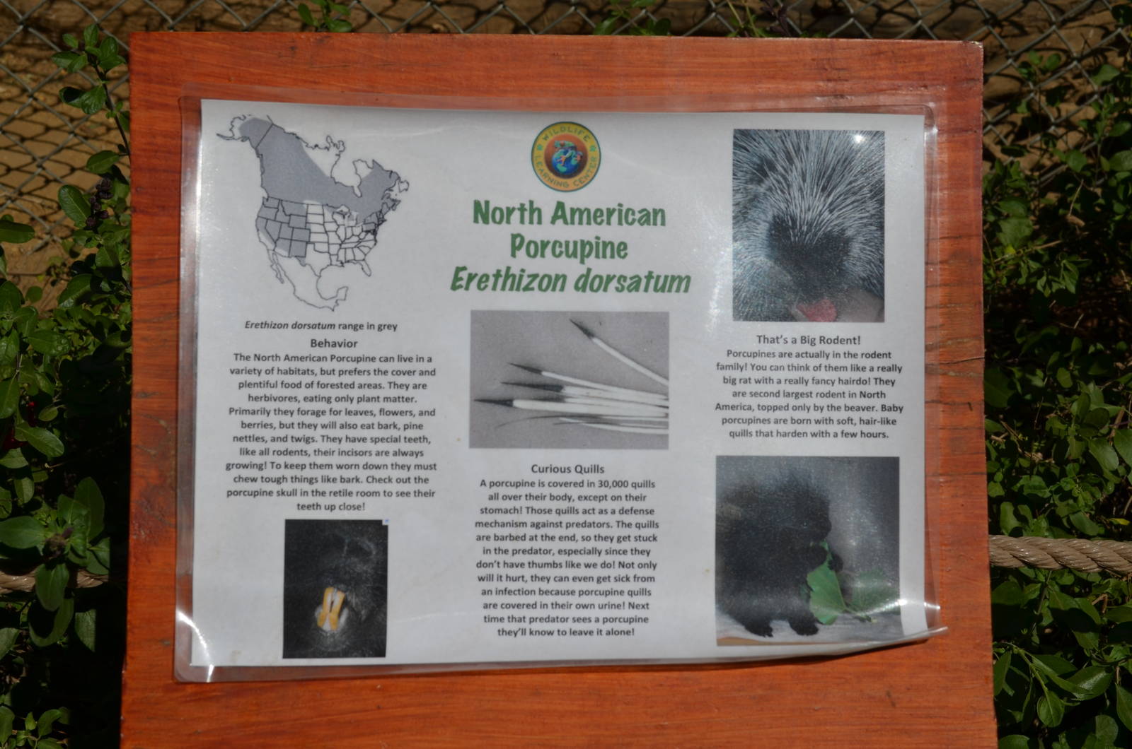 North American Porcupine Signage
