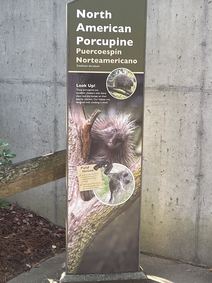 North American Porcupine Signage