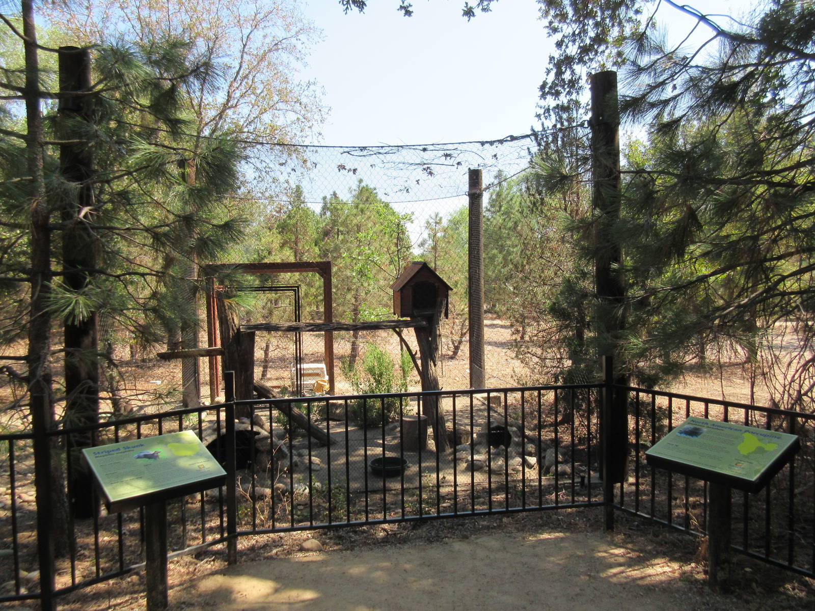 North American Porcupine/Striped Skunk Exhibit