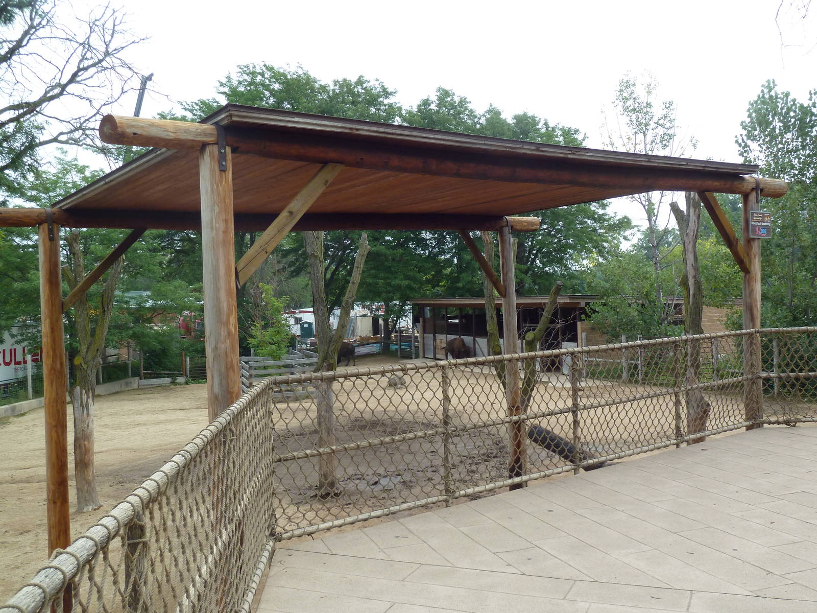 North American Prairie - American Bison Exhibit
